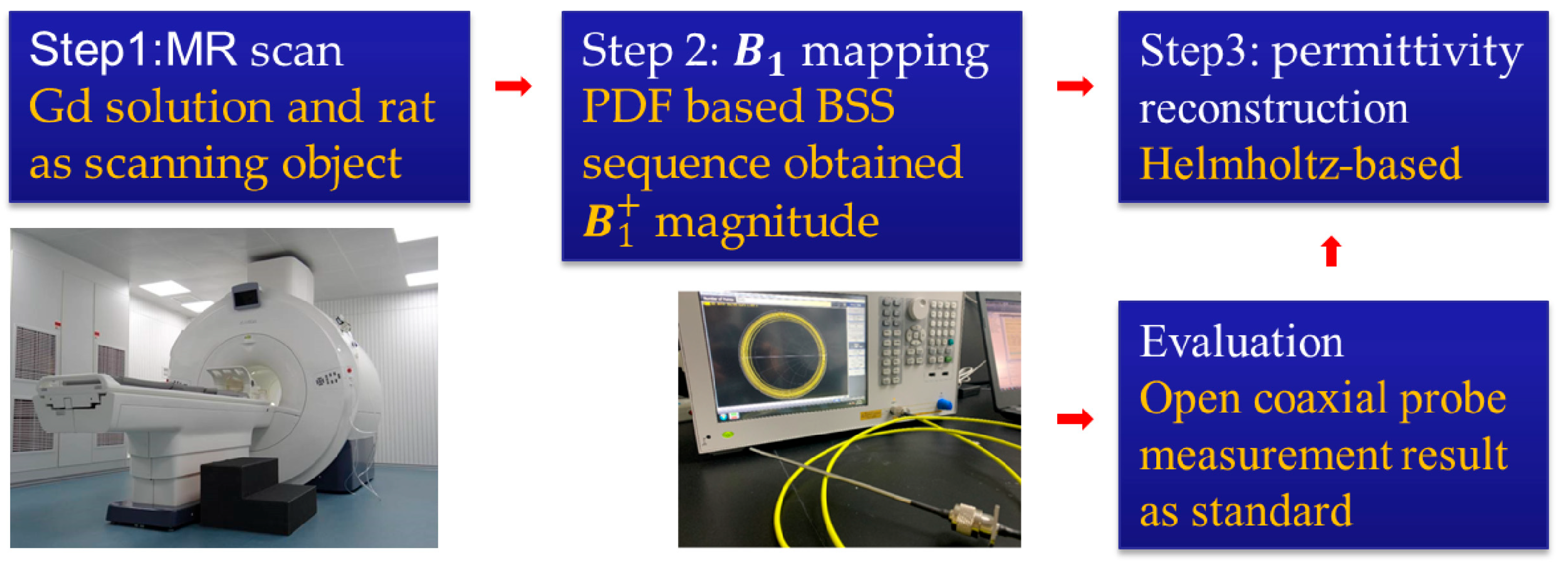 Bioengineering 11 00699 g001