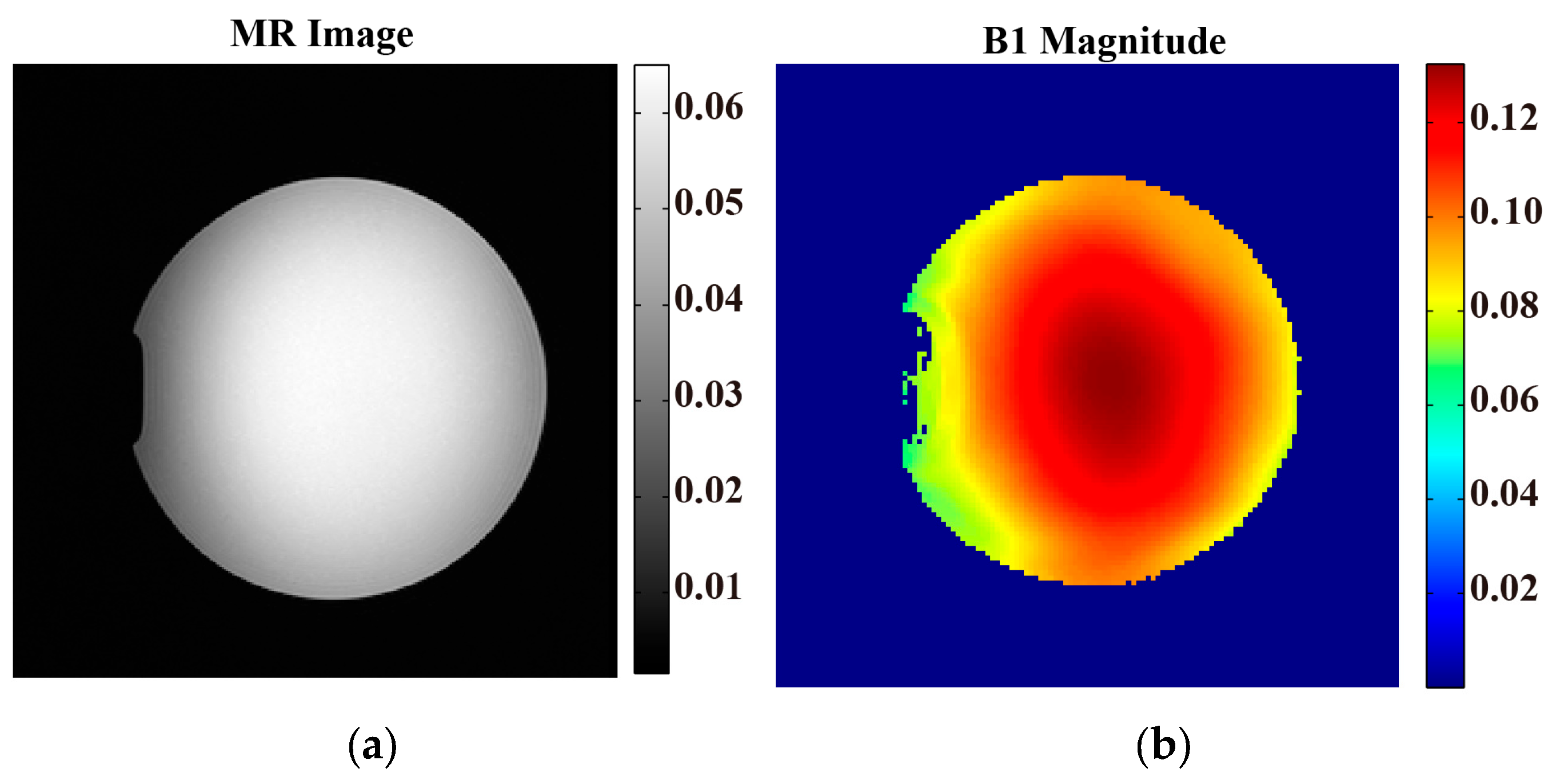 Bioengineering 11 00699 g002