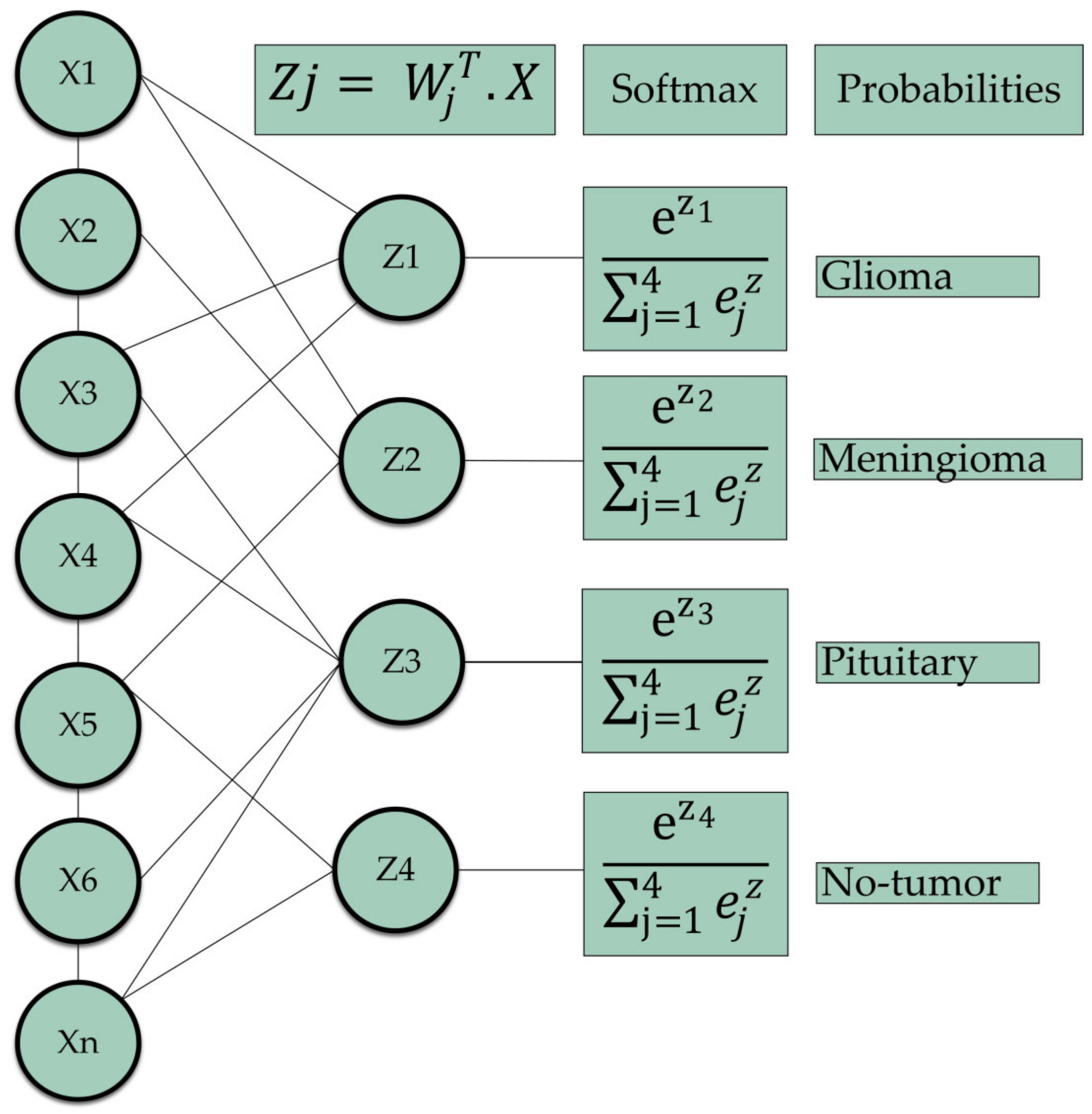 Bioengineering 11 00701 g005