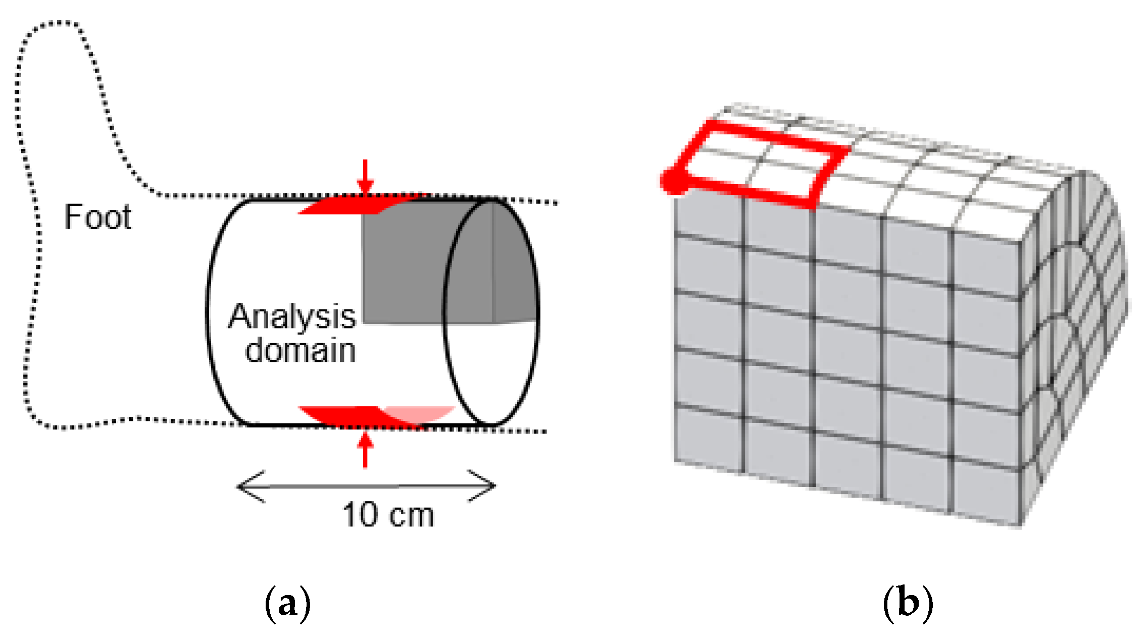 Bioengineering 11 00702 g004