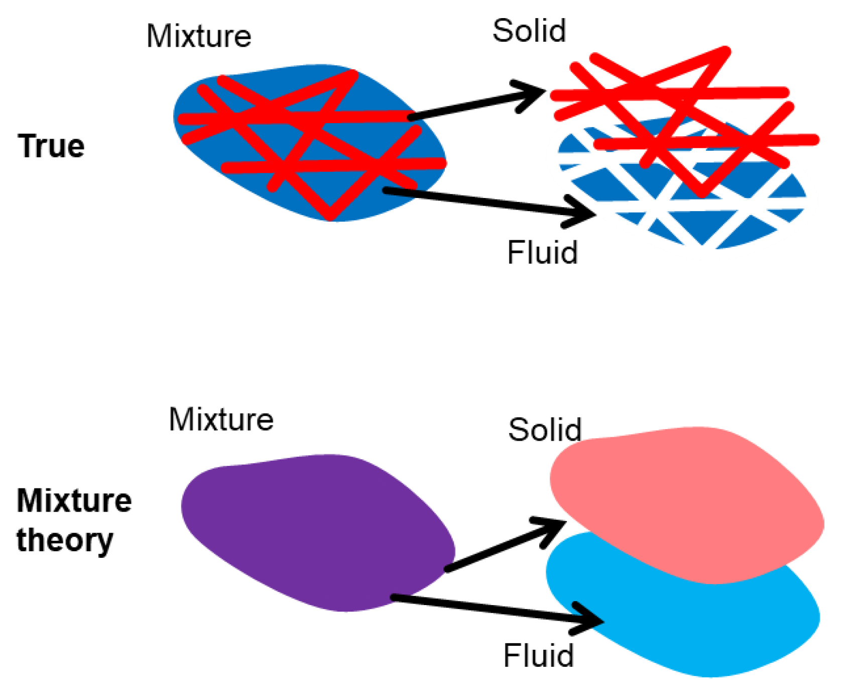 Bioengineering 11 00702 g0a1
