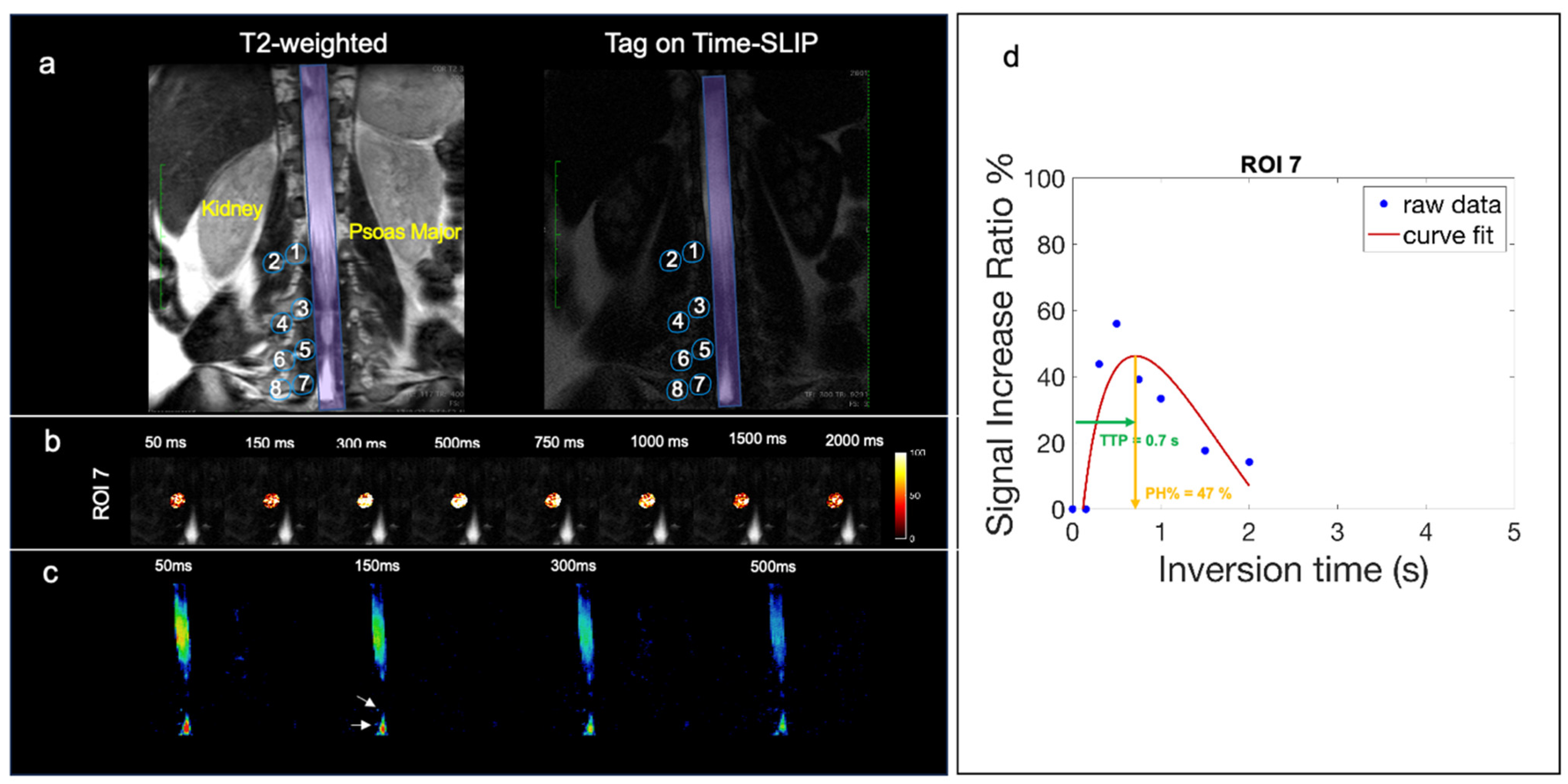 Bioengineering 11 00708 g005