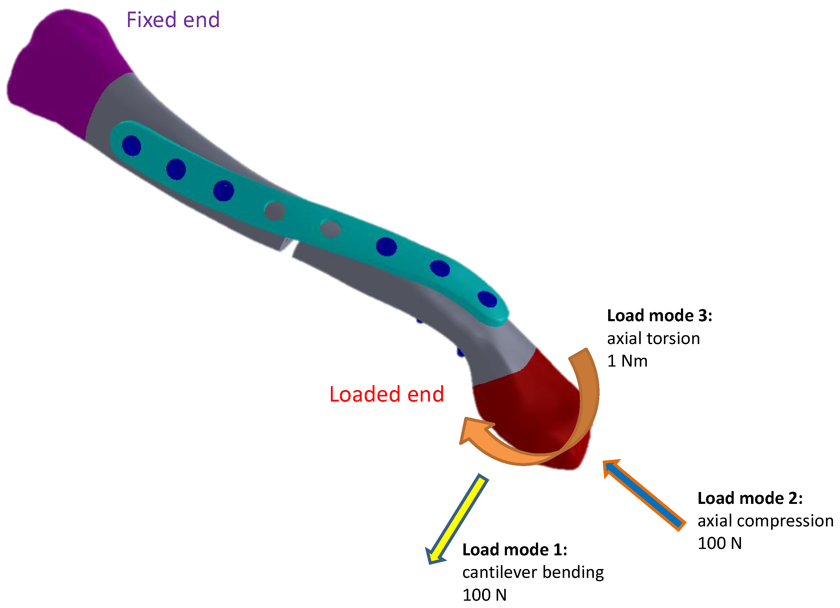 Bioengineering 11 00713 g003 Bioengineering 11 00713 g003