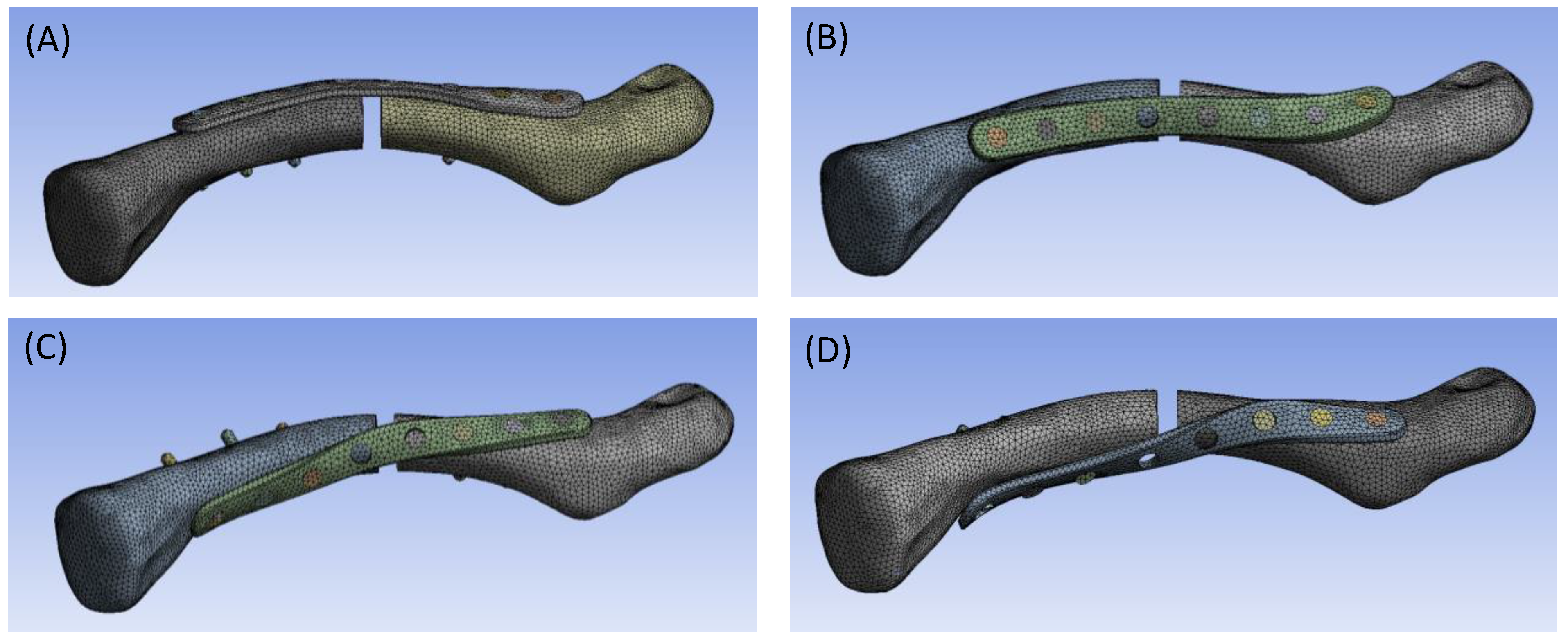 Bioengineering 11 00713 g004 Bioengineering 11 00713 g004