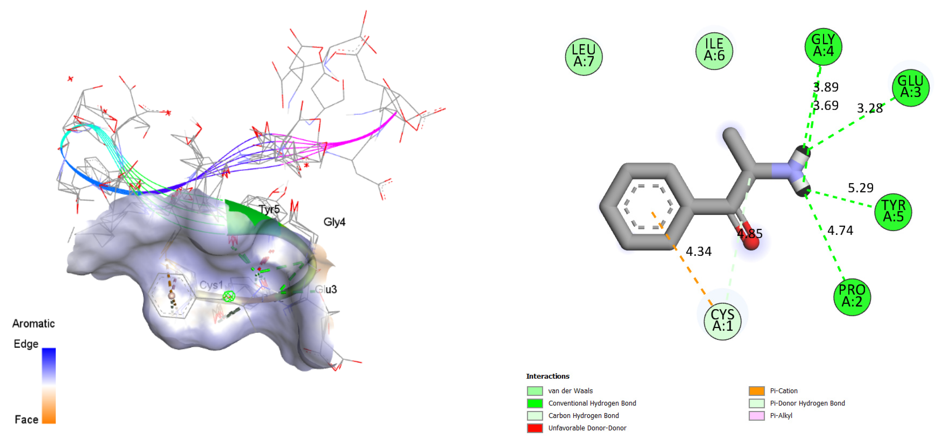 Bioengineering 11 00716 g007b