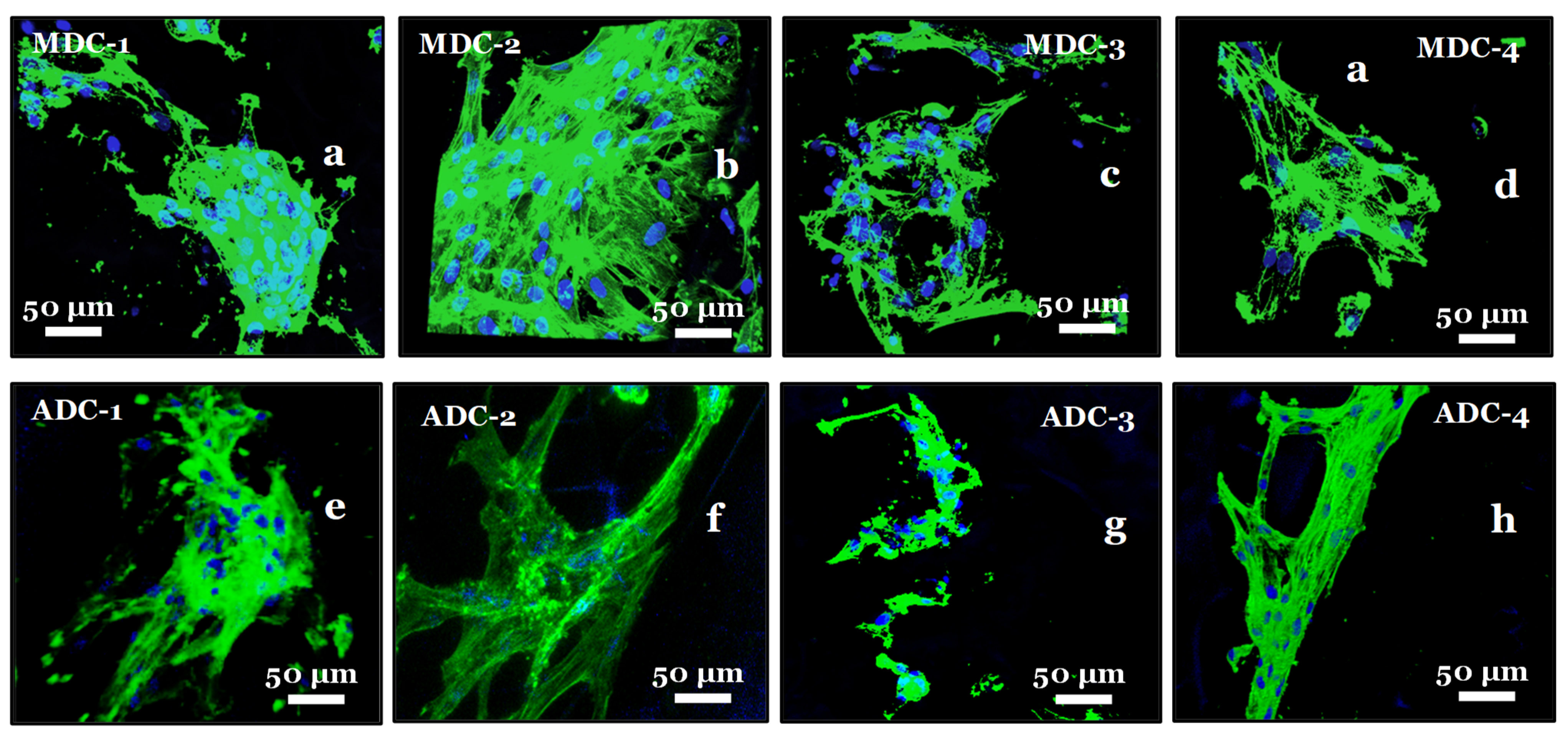 Bioengineering 11 00720 g008