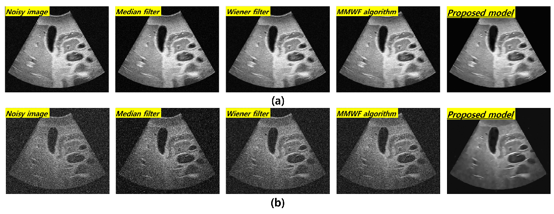 Bioengineering 11 00723 g004
