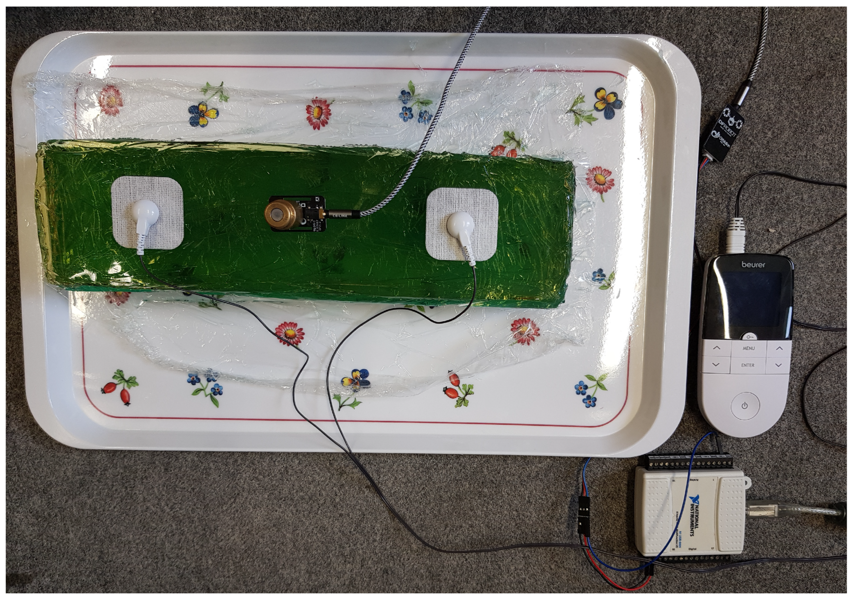 Bioengineering 11 00724 g004