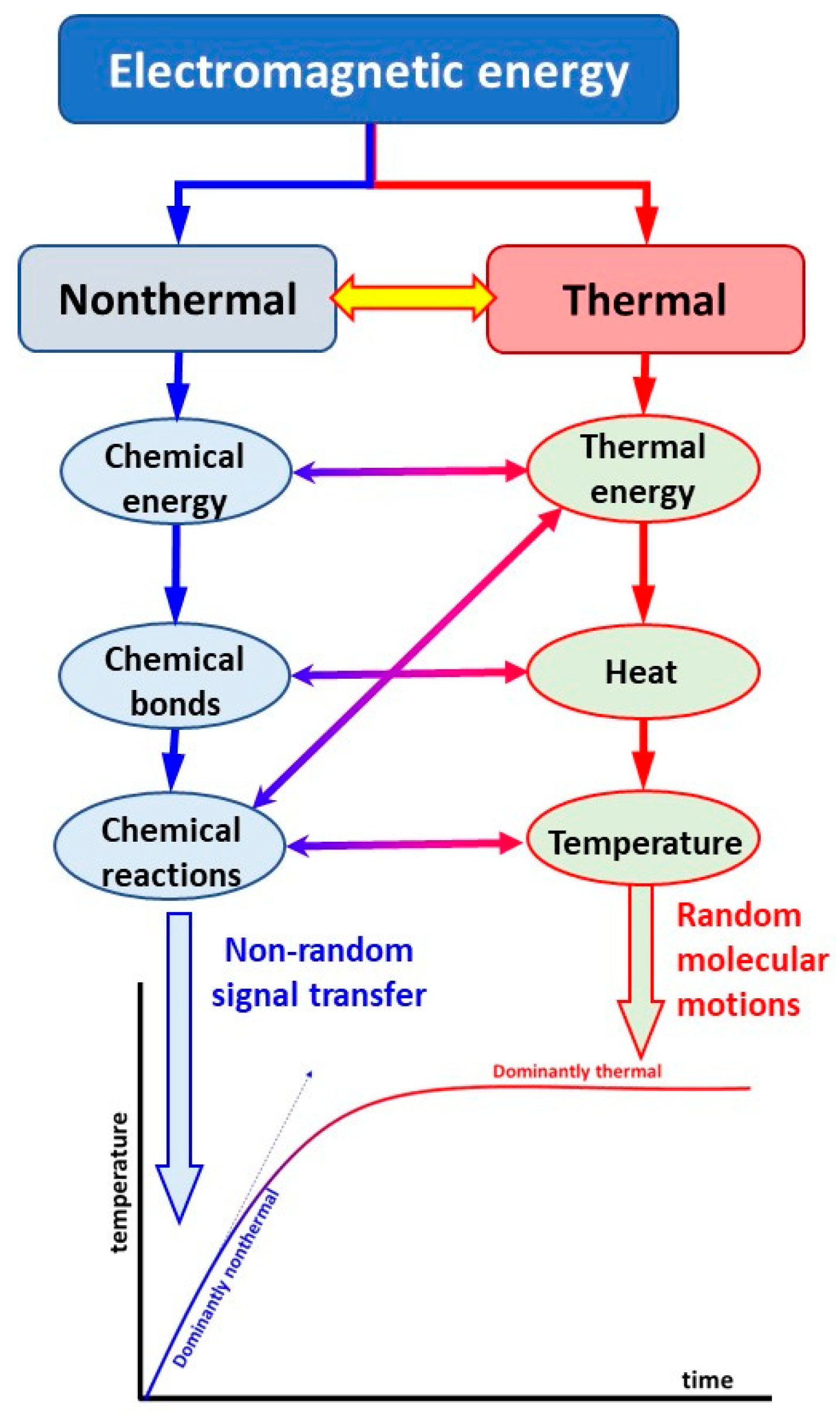 Bioengineering 11 00725 g015 Bioengineering 11 00725 g015