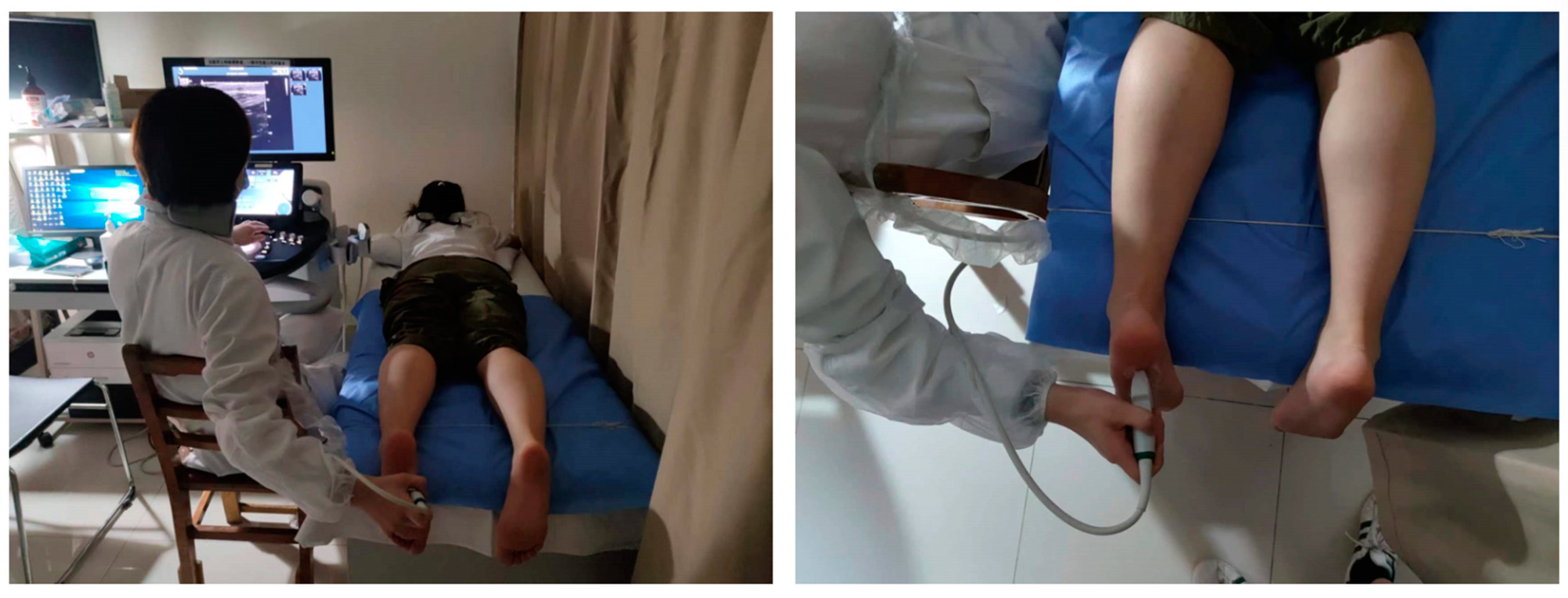 Bioengineering 11 00728 g001