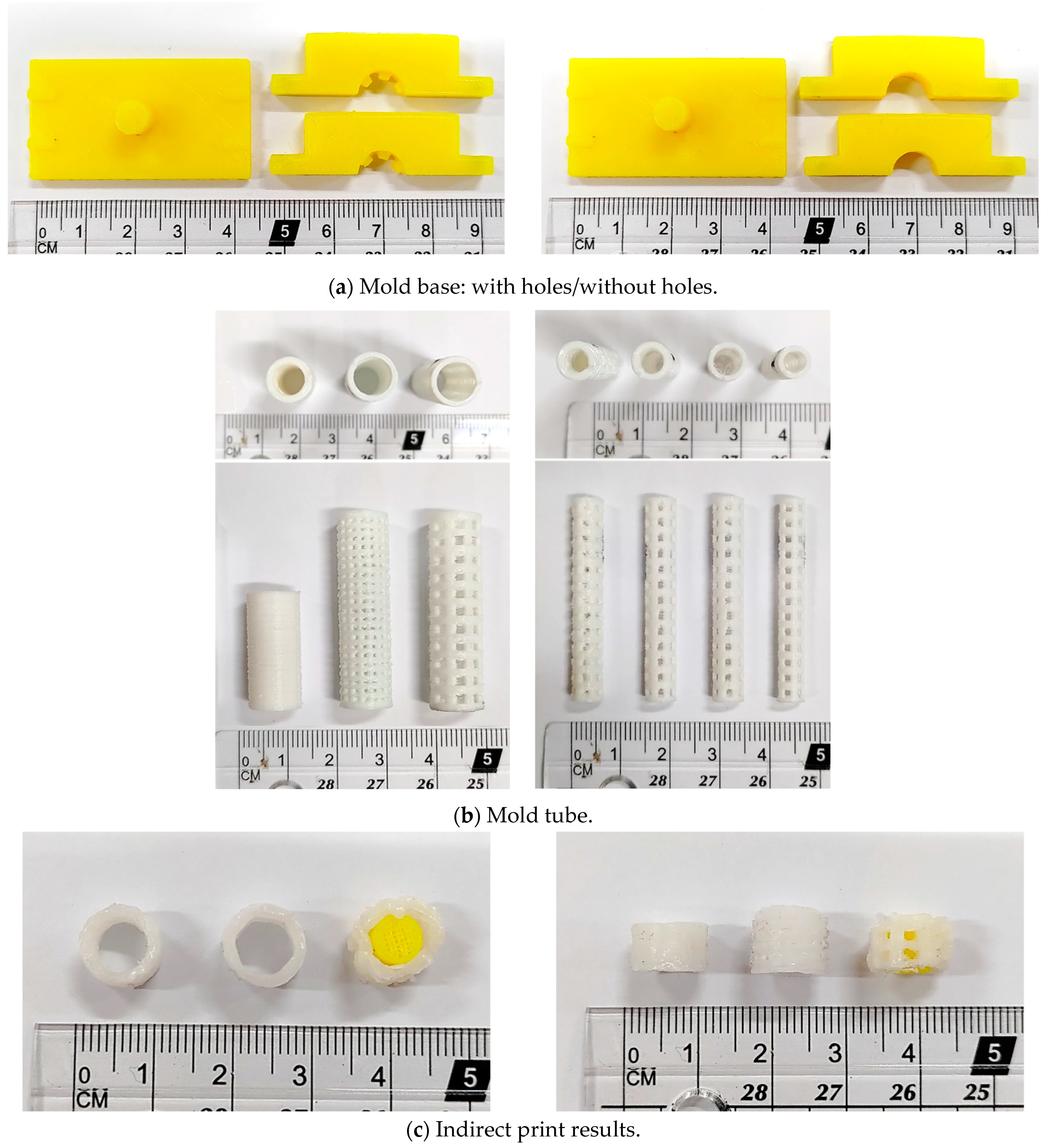 Bioengineering 11 00731 g004