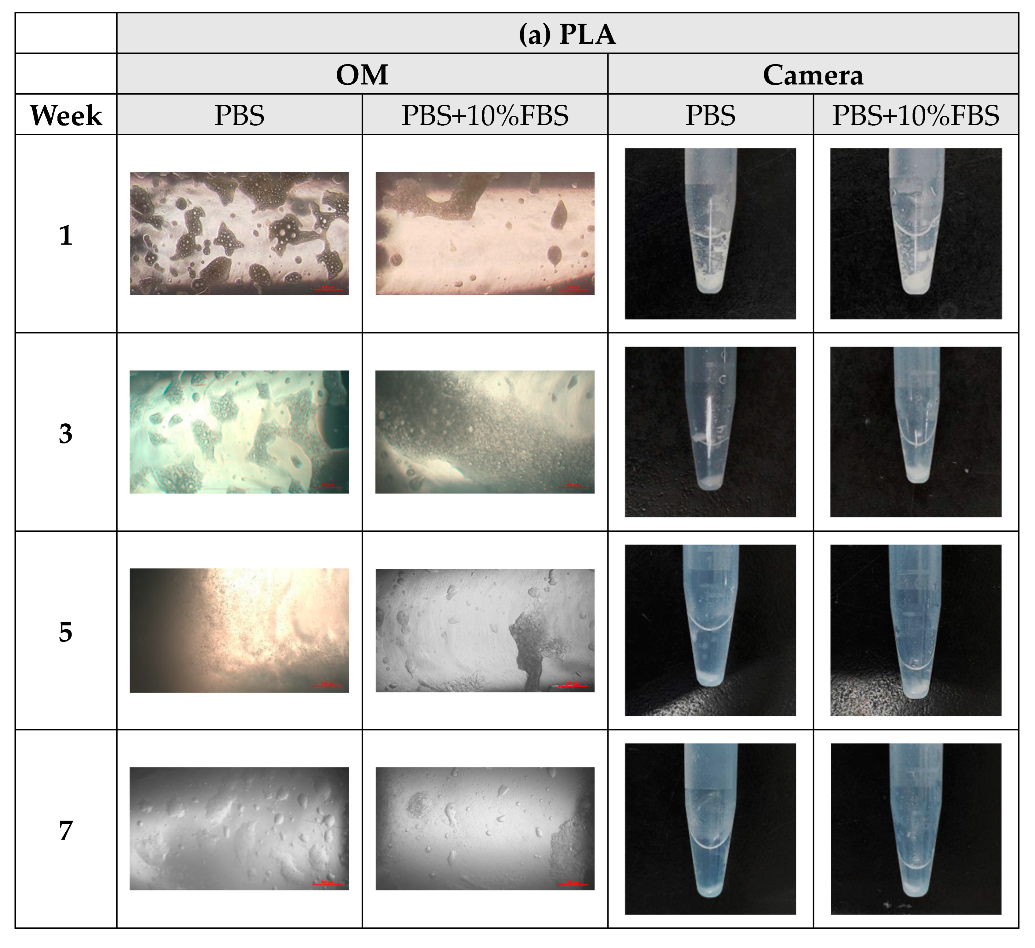 Bioengineering 11 00731 g008a