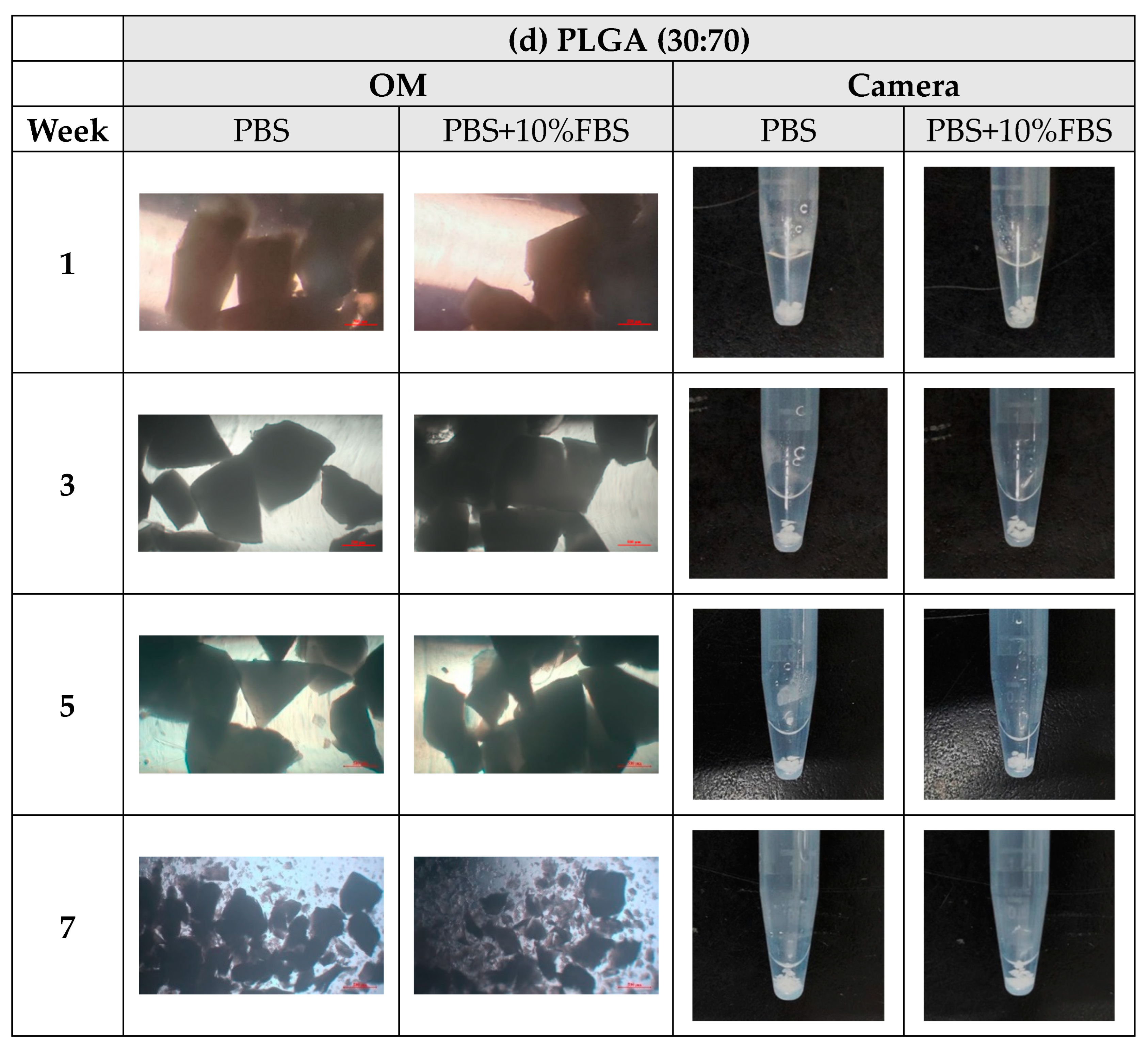 Bioengineering 11 00731 g008d
