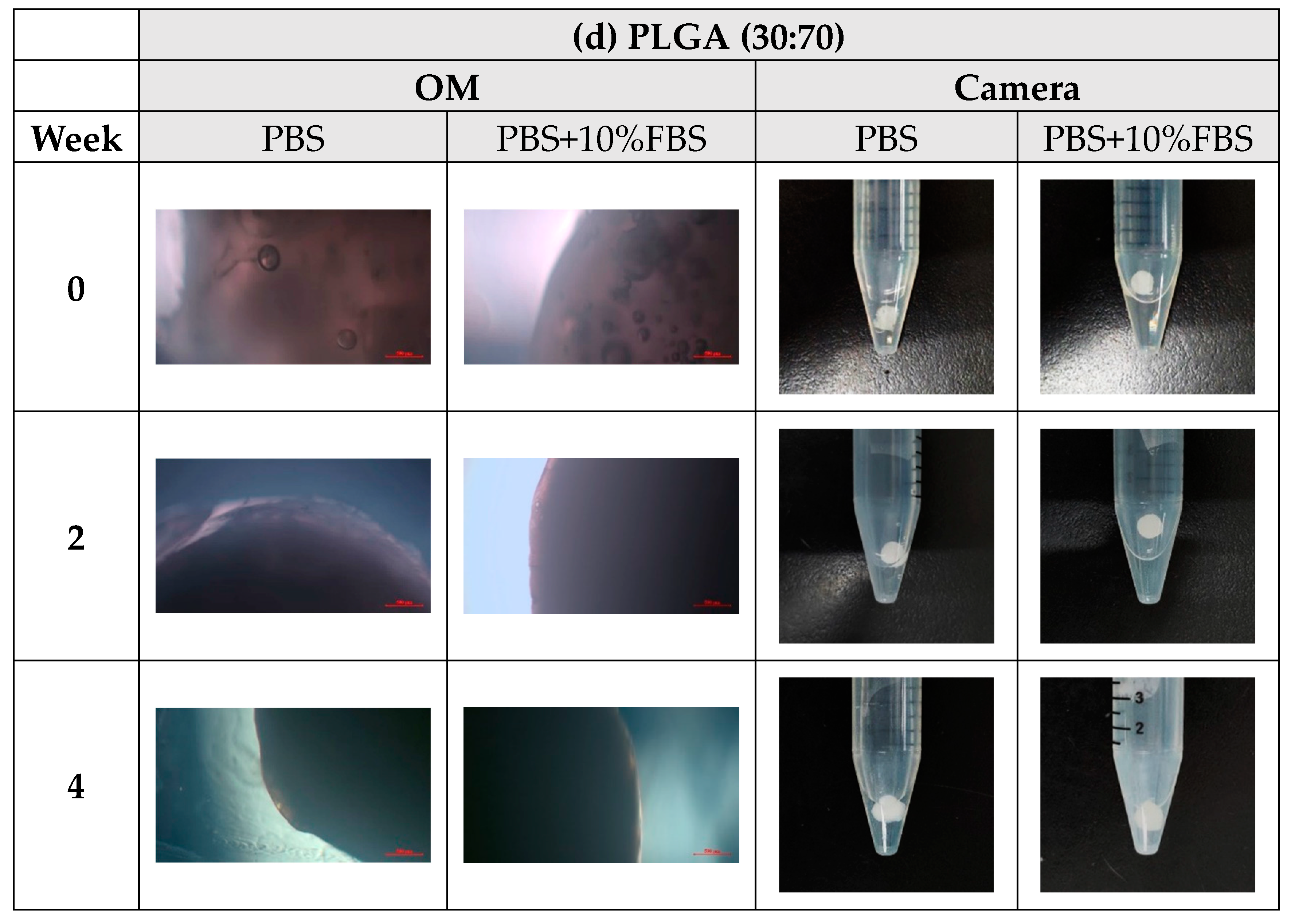 Bioengineering 11 00731 g010c