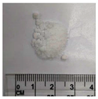 Bioengineering 11 00731 i001