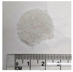 Bioengineering 11 00731 i004