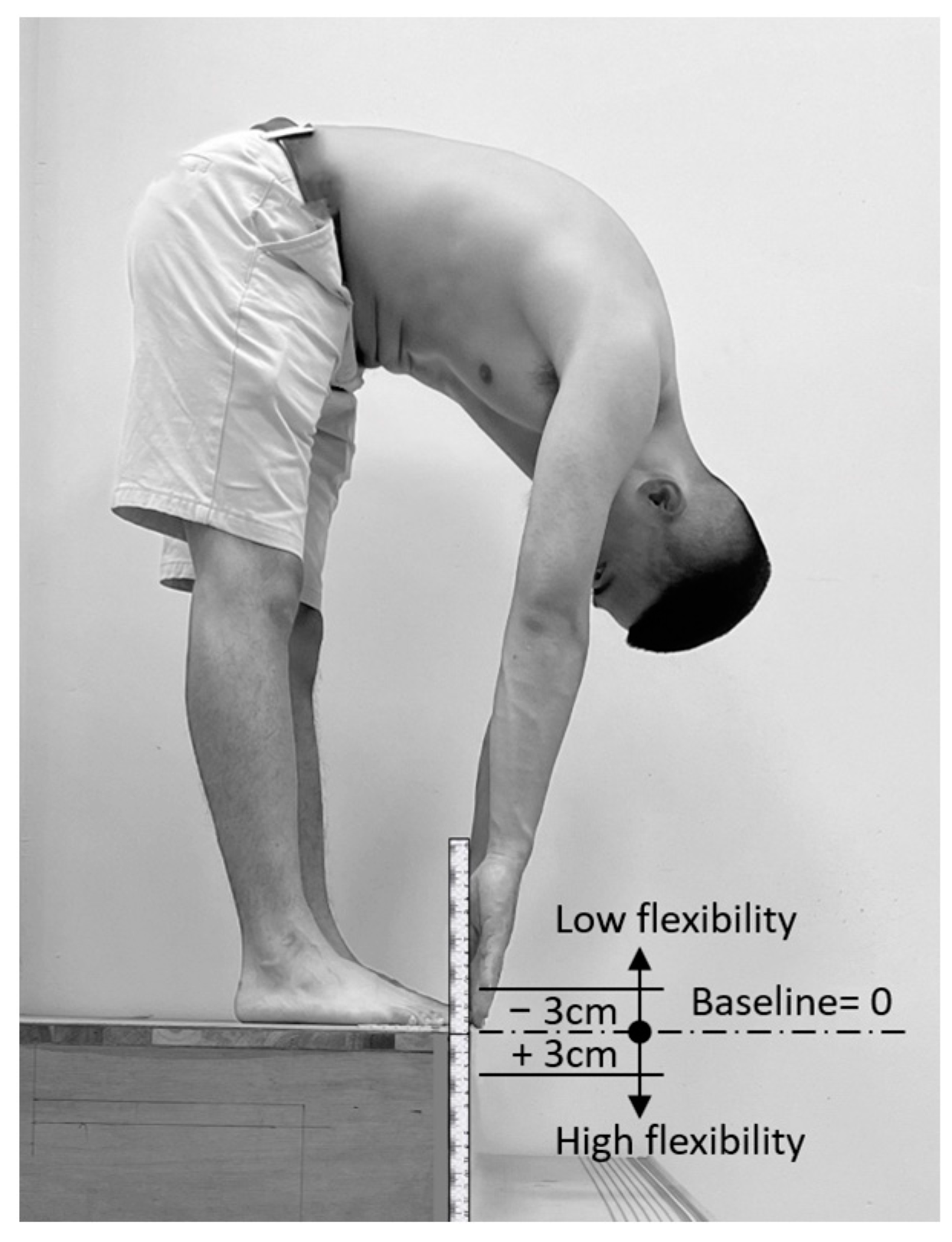 Bioengineering 11 00736 g001
