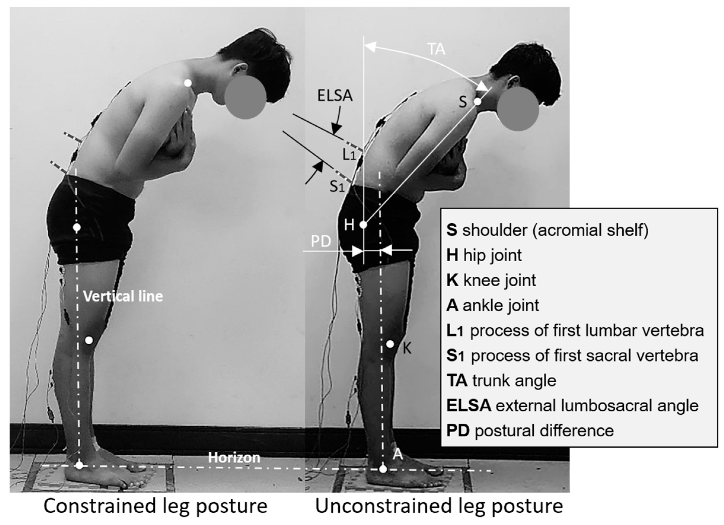 Bioengineering 11 00736 g003