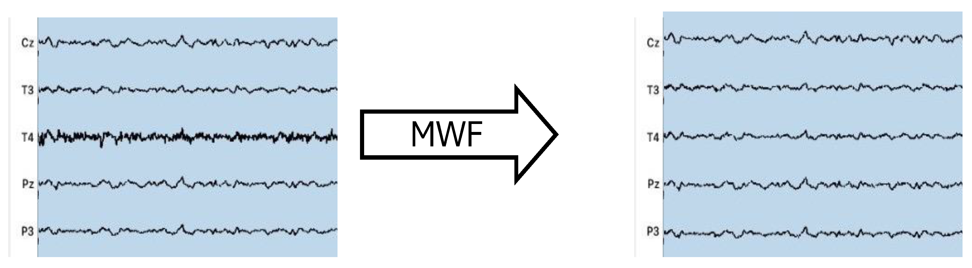 Bioengineering 11 00753 g006