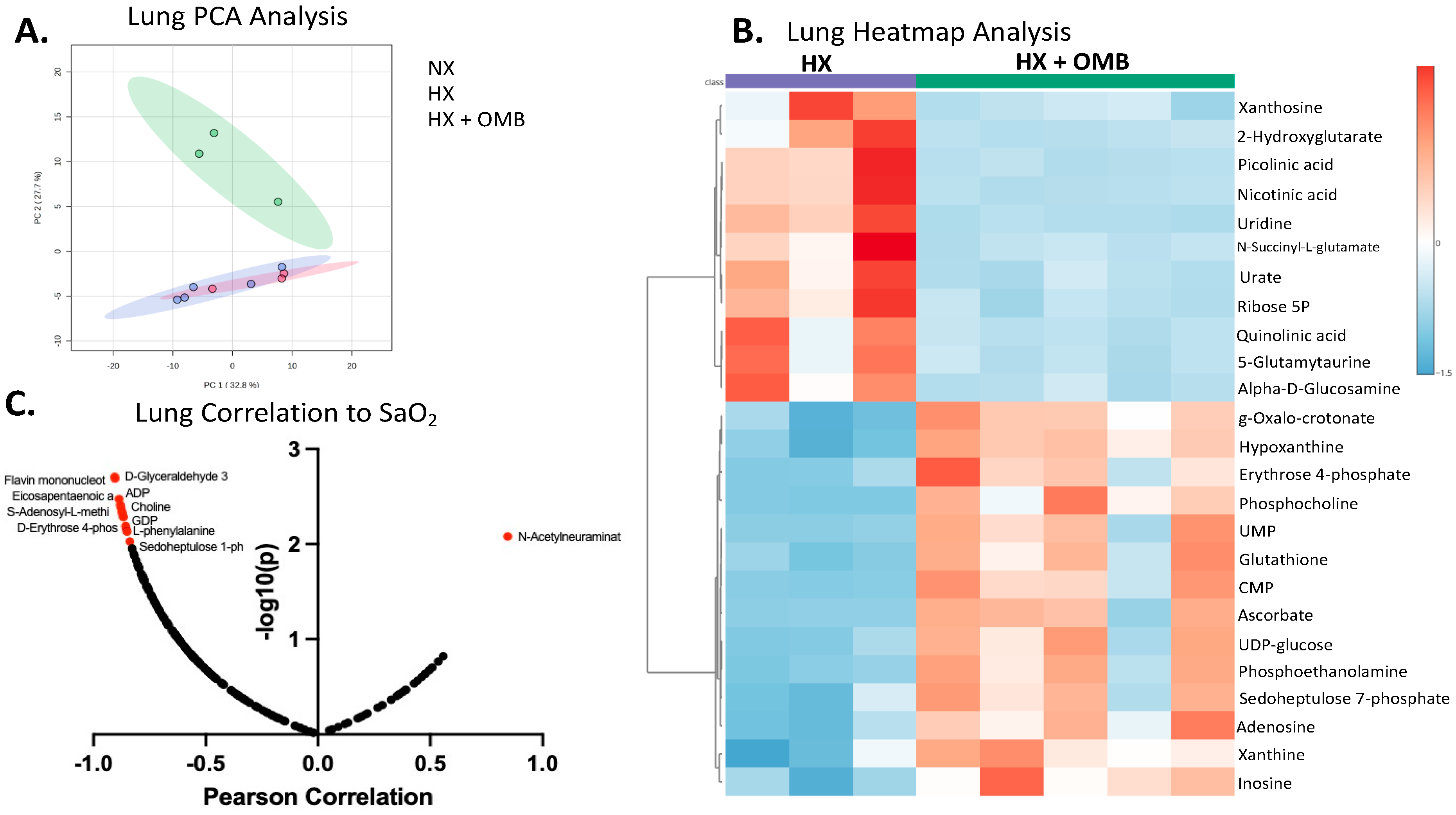 Bioengineering 11 00761 g007
