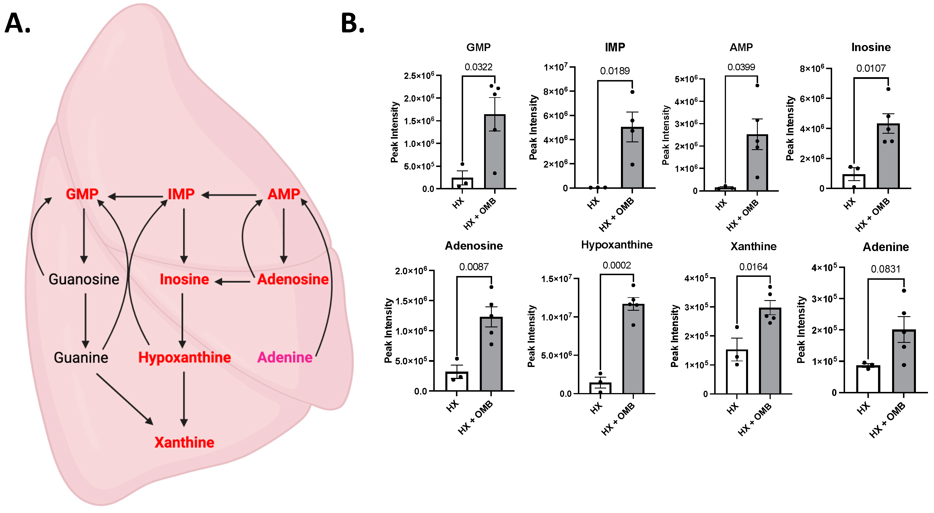 Bioengineering 11 00761 g008
