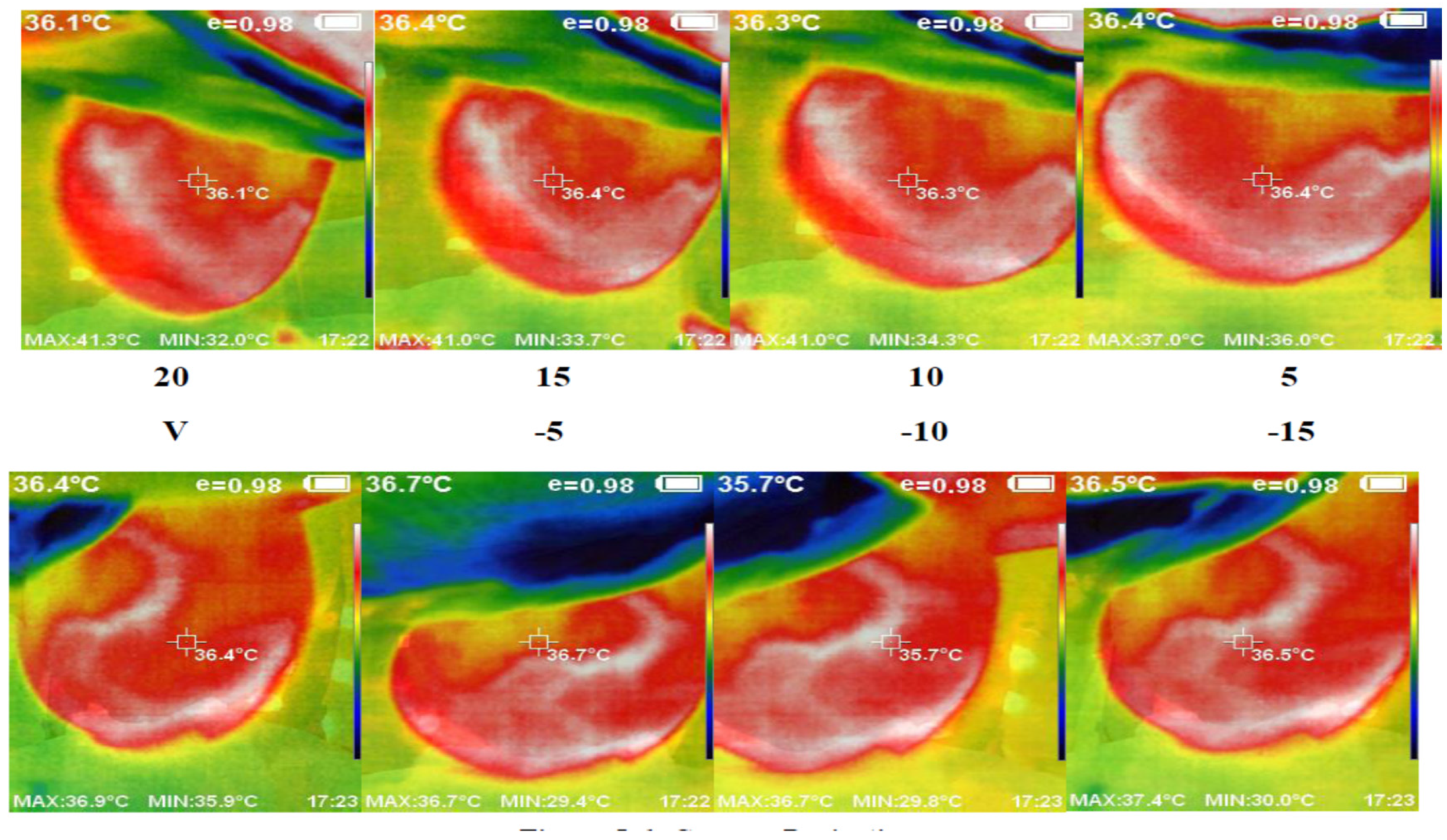 Bioengineering 11 00764 g007
