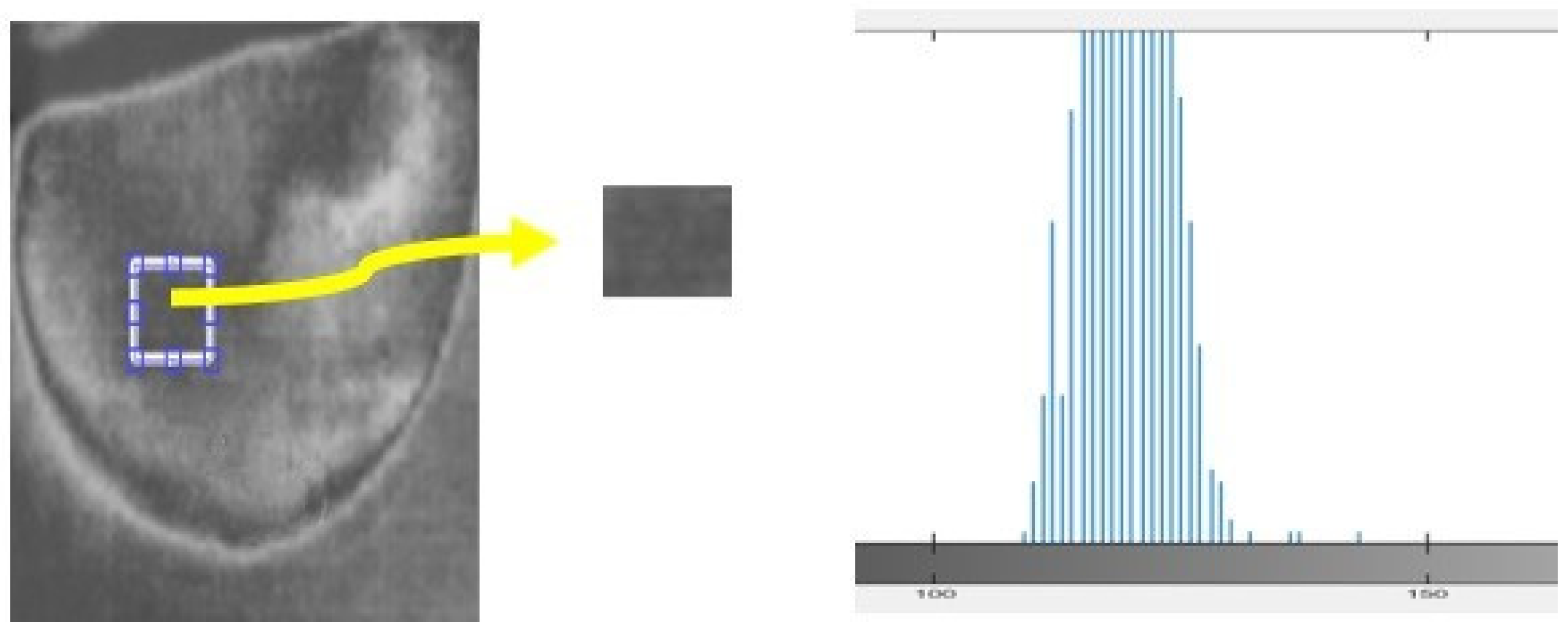 Bioengineering 11 00764 g011