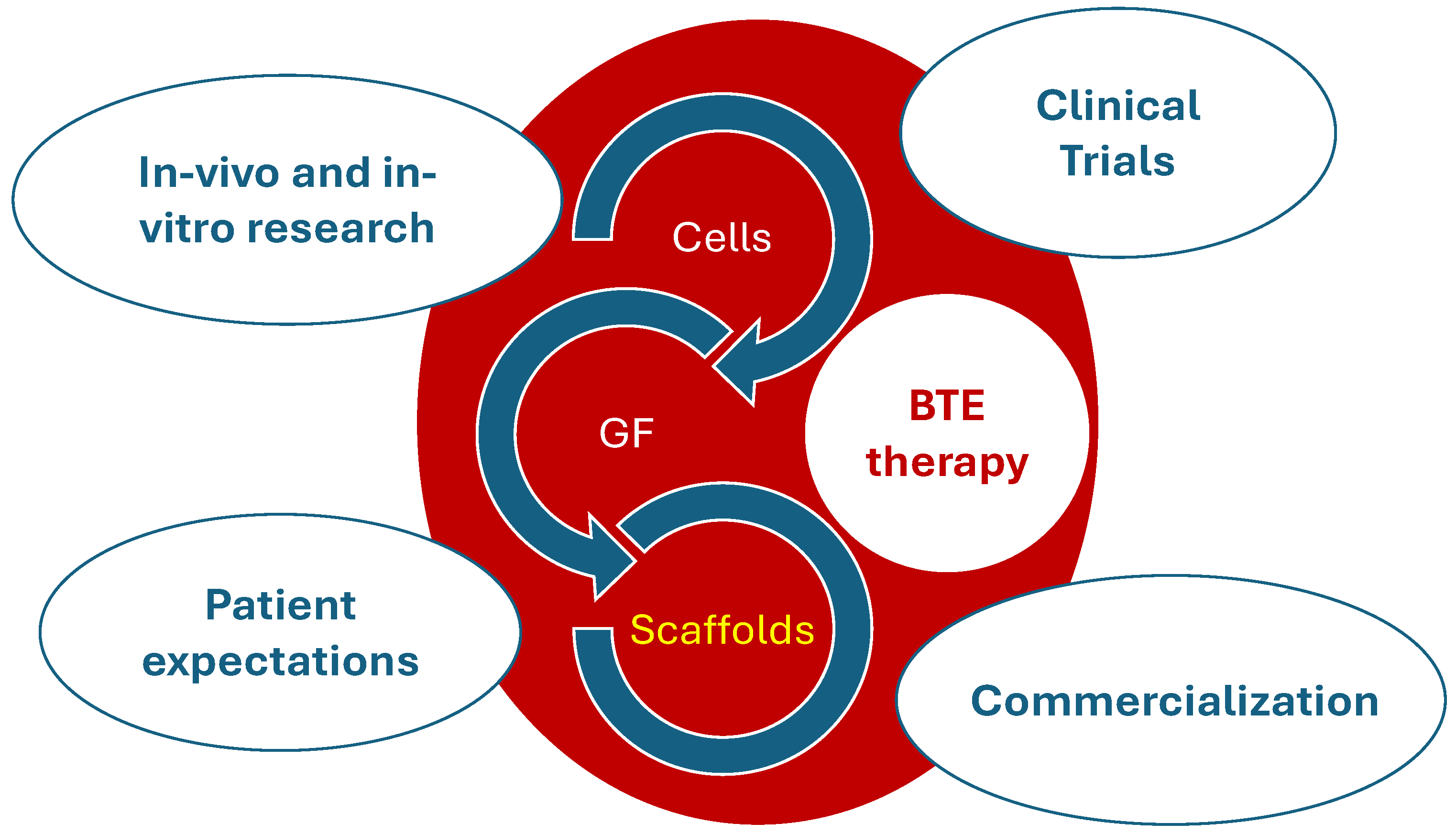 Bioengineering 11 00769 g005