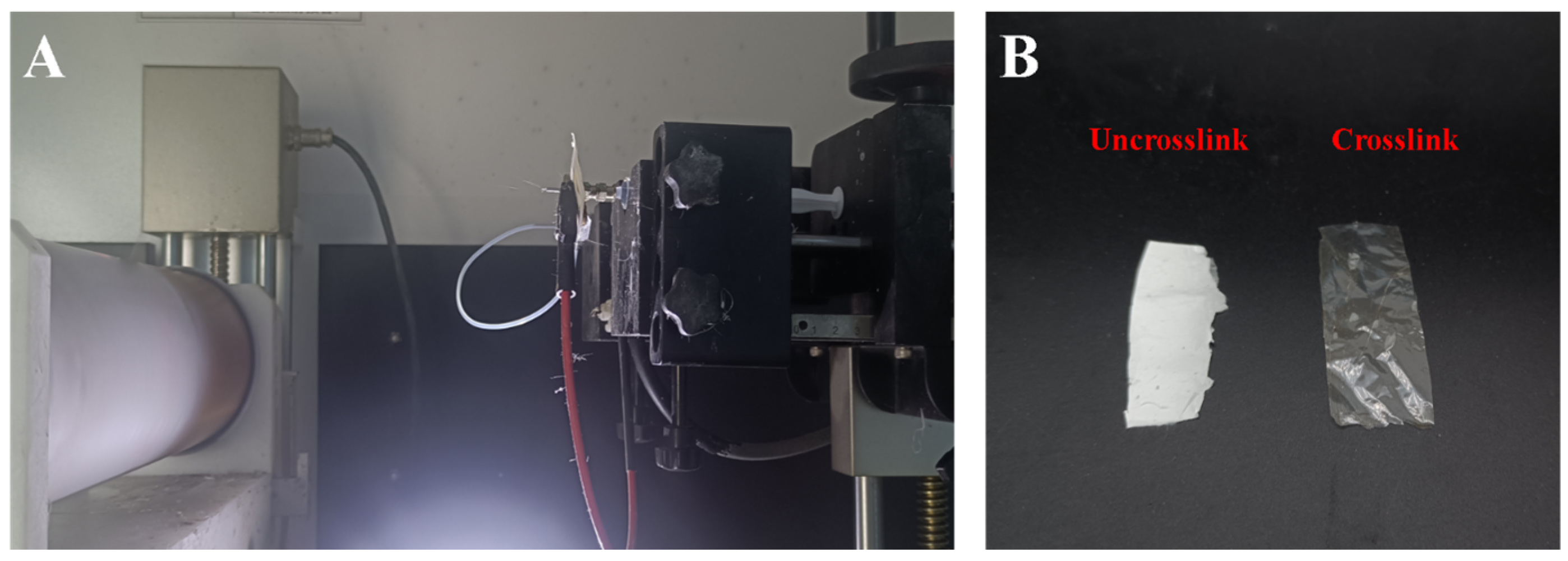 Bioengineering 11 00772 g0a3 Bioengineering 11 00772 g0a3