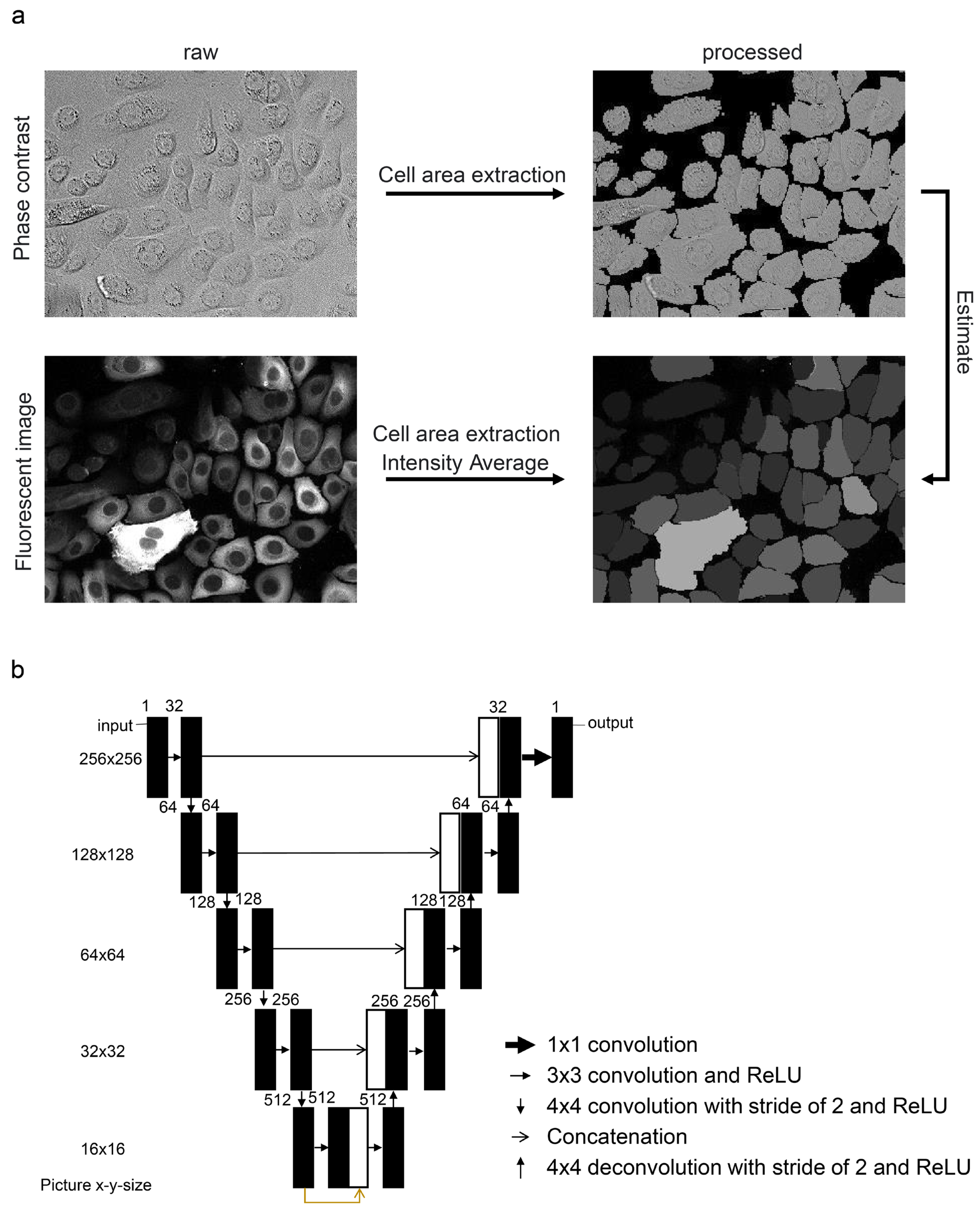Bioengineering 11 00774 g001
