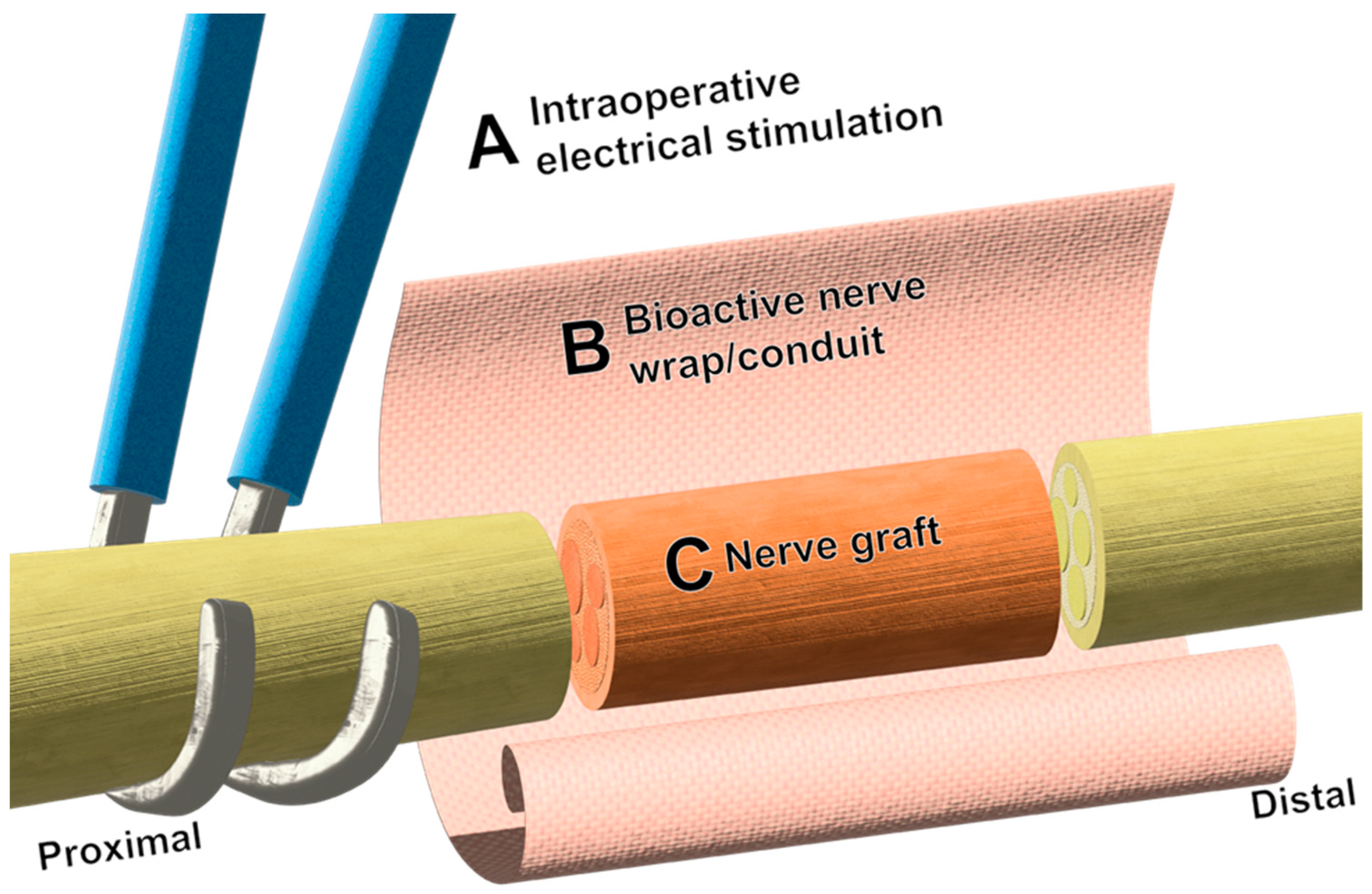 Bioengineering 11 00776 g002