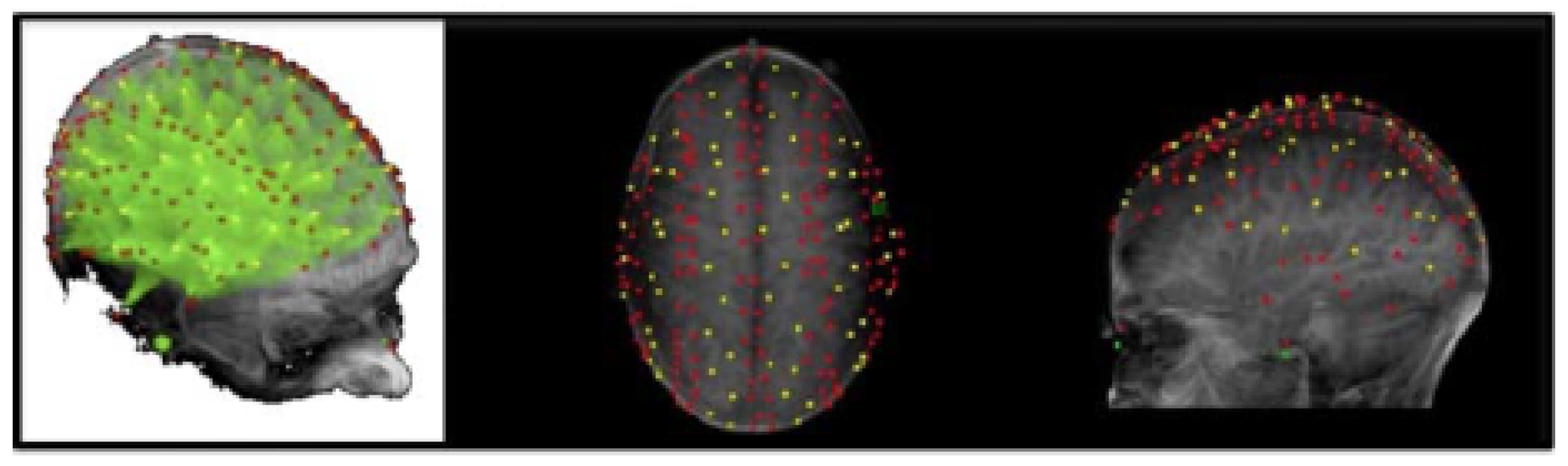 Bioengineering 11 00781 g002