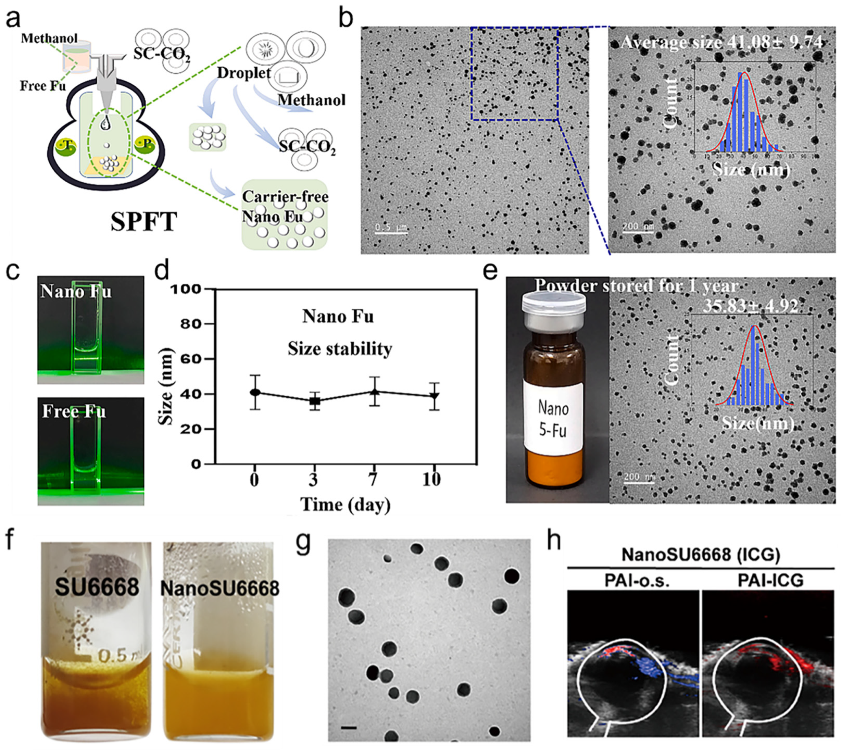 Bioengineering 11 00788 g004