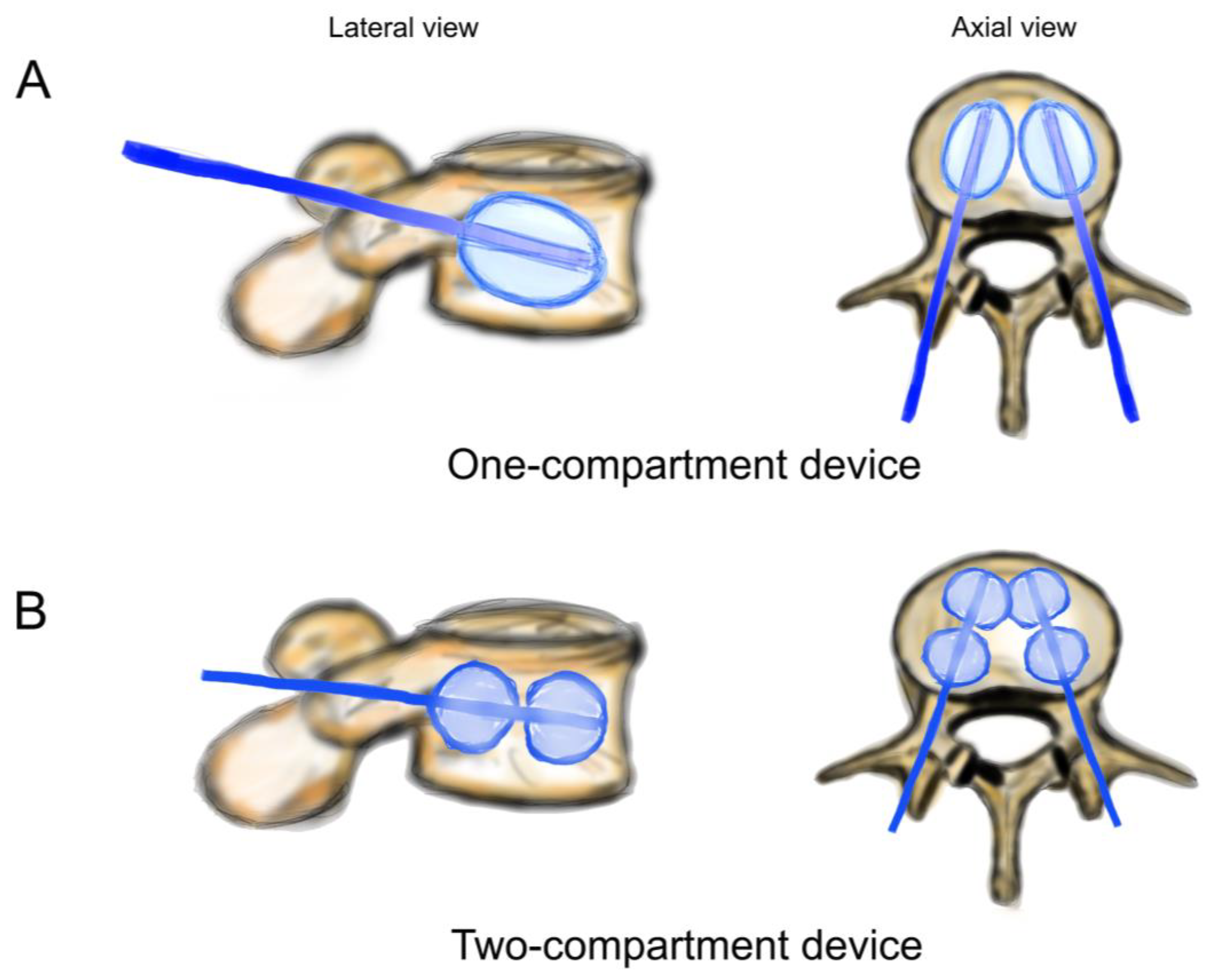 Bioengineering 11 00795 g003