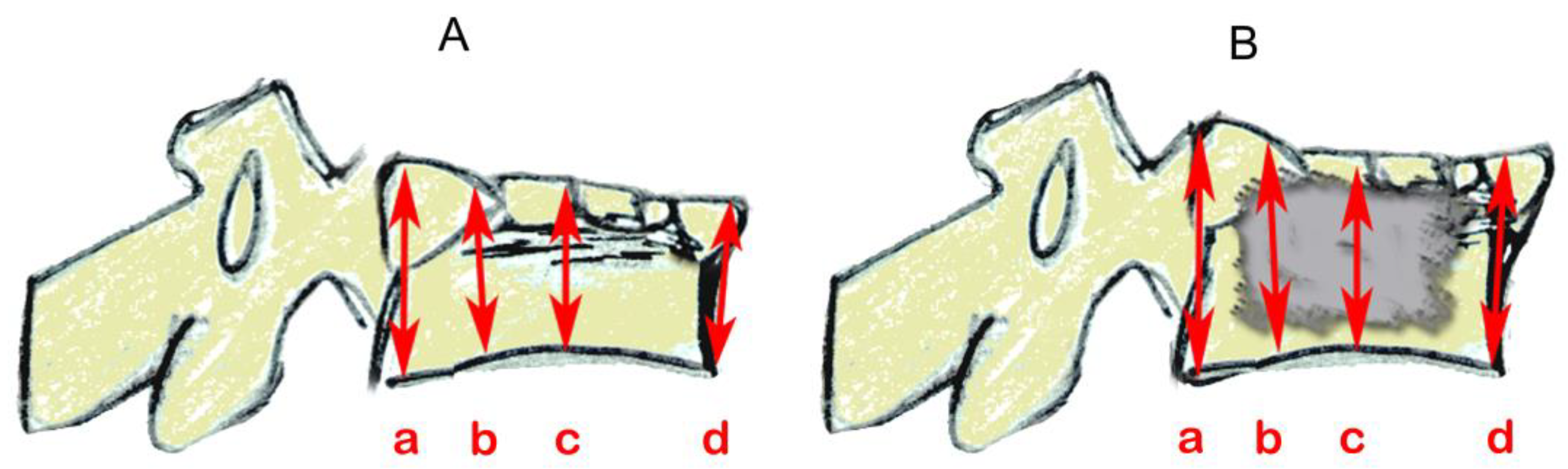 Bioengineering 11 00795 g005