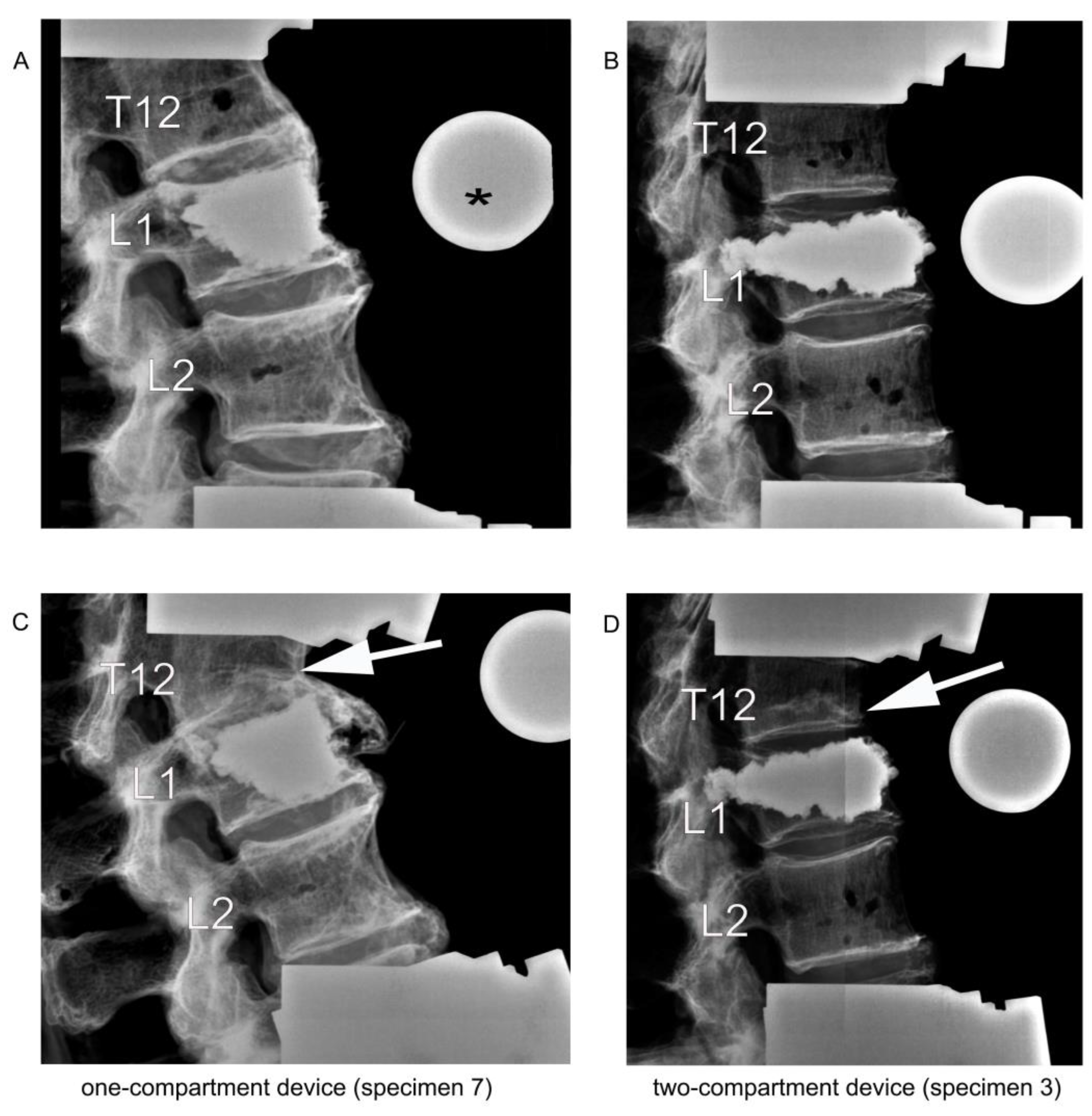 Bioengineering 11 00795 g007