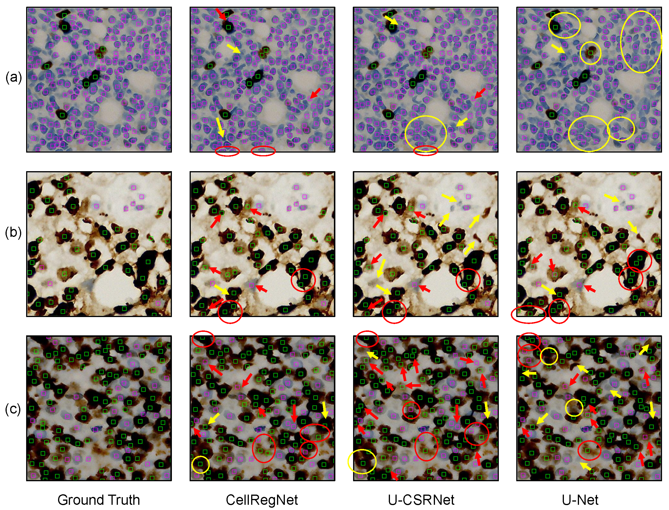 Bioengineering 11 00814 g004