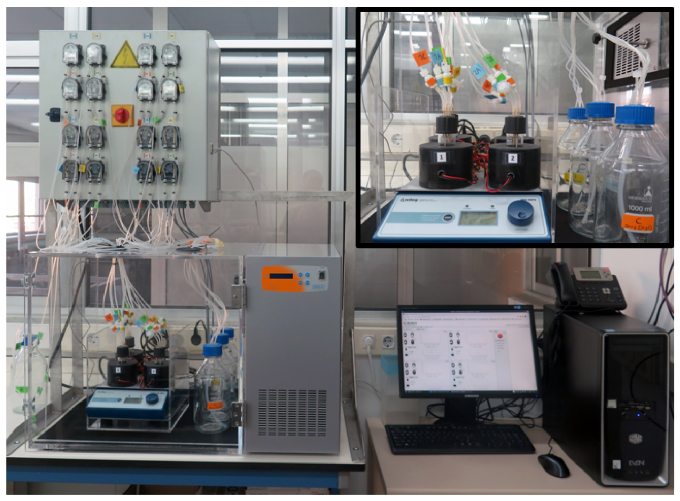 Bioengineering 11 00815 g0a1 Bioengineering 11 00815 g0a1
