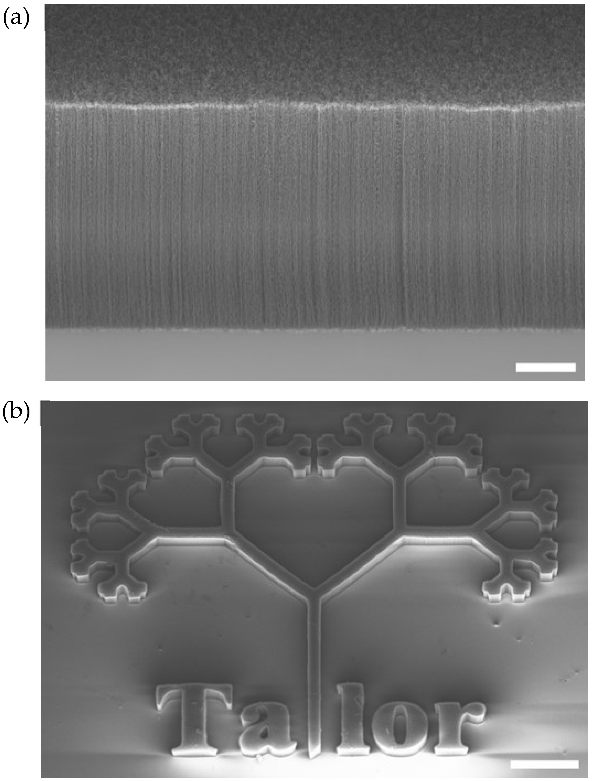 Bioengineering 11 00823 g002
