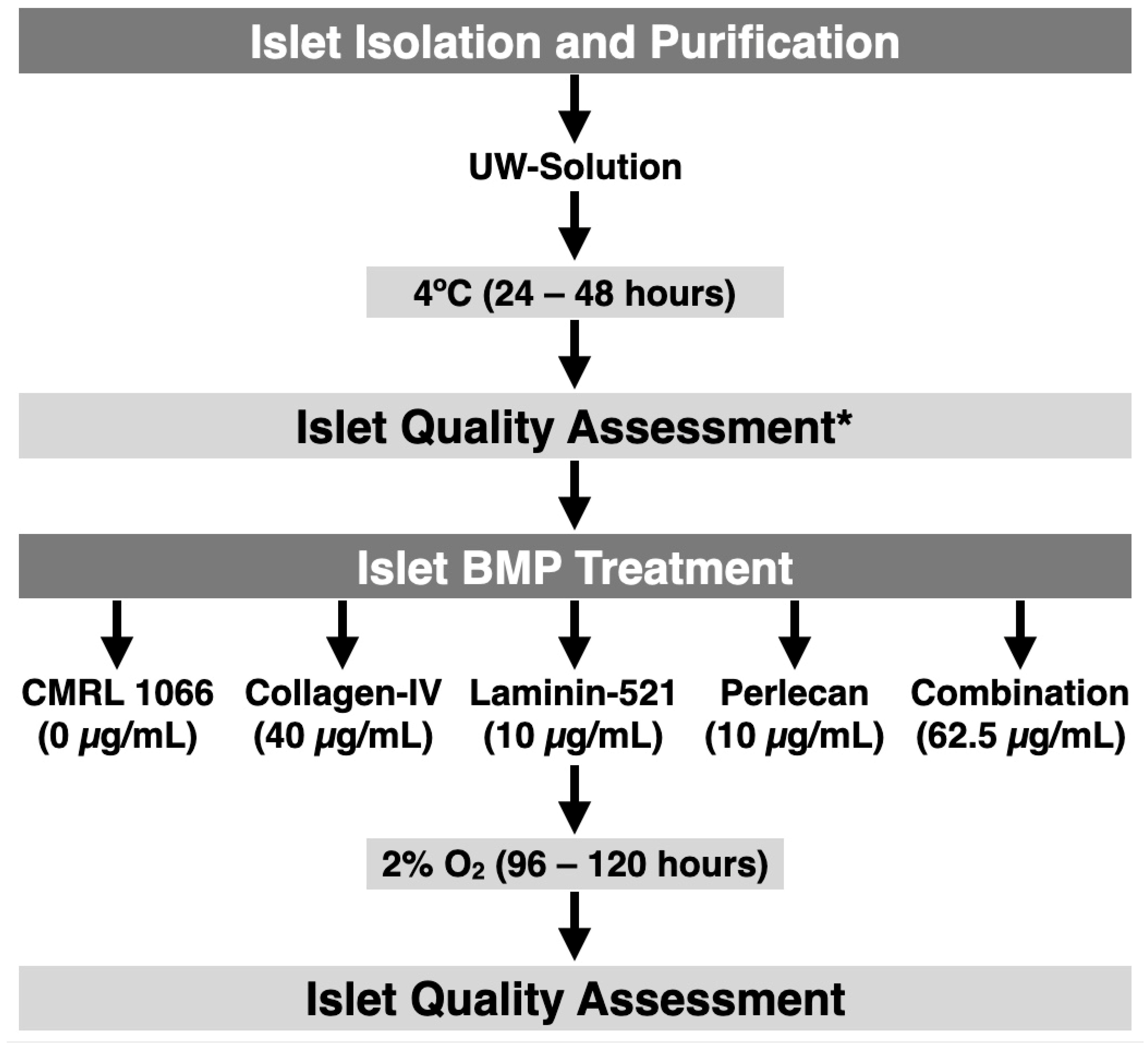 Bioengineering 11 00828 g001 Bioengineering 11 00828 g001