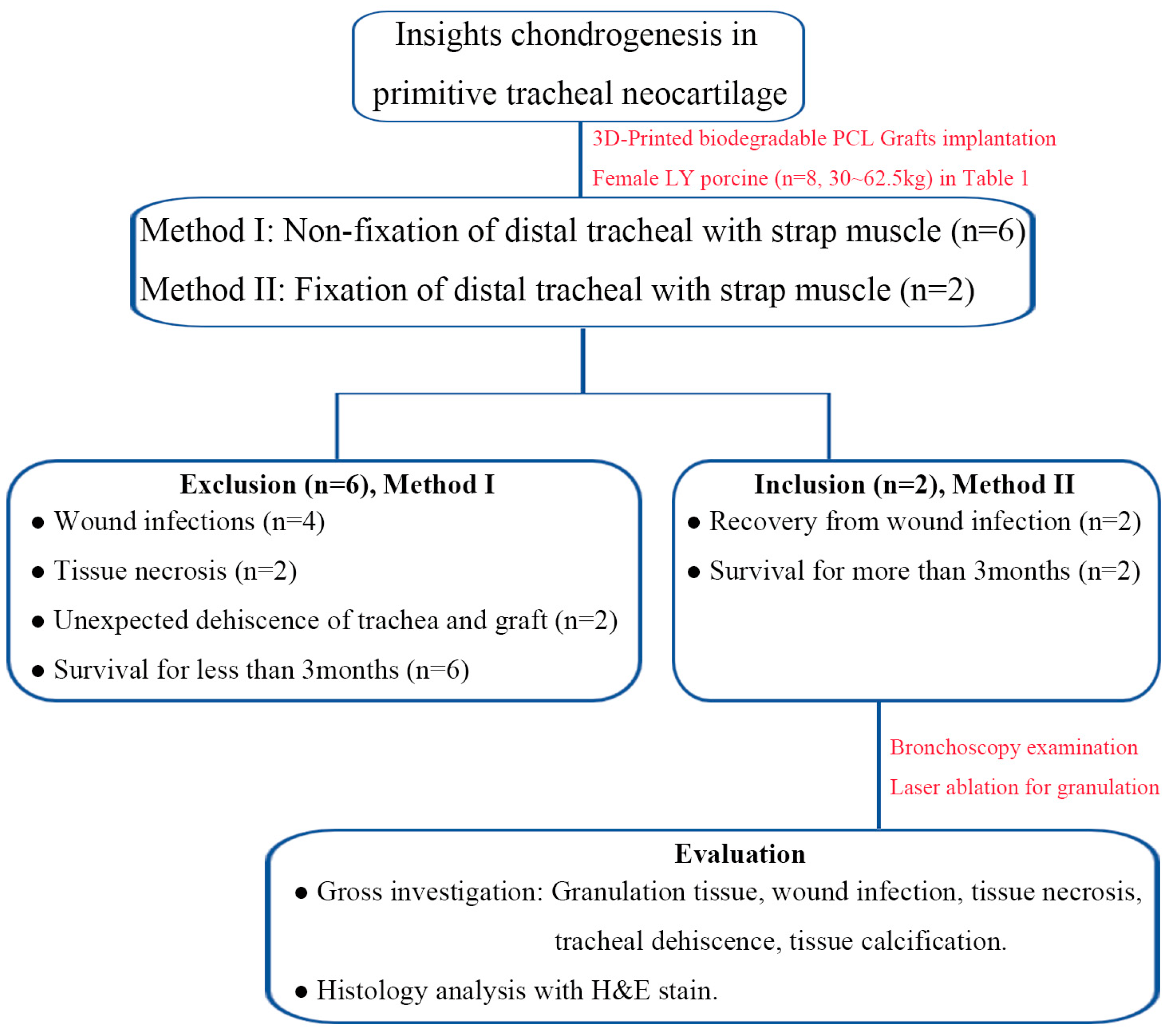 Bioengineering 11 00832 g001