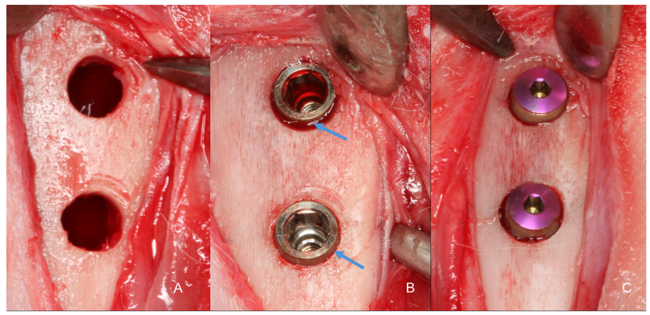 Bioengineering 11 00835 g004