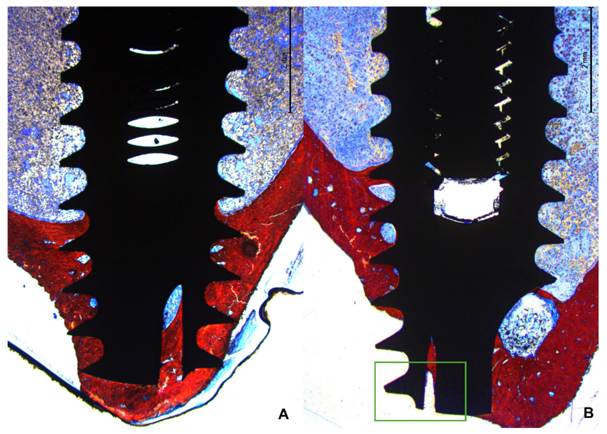 Bioengineering 11 00835 g008