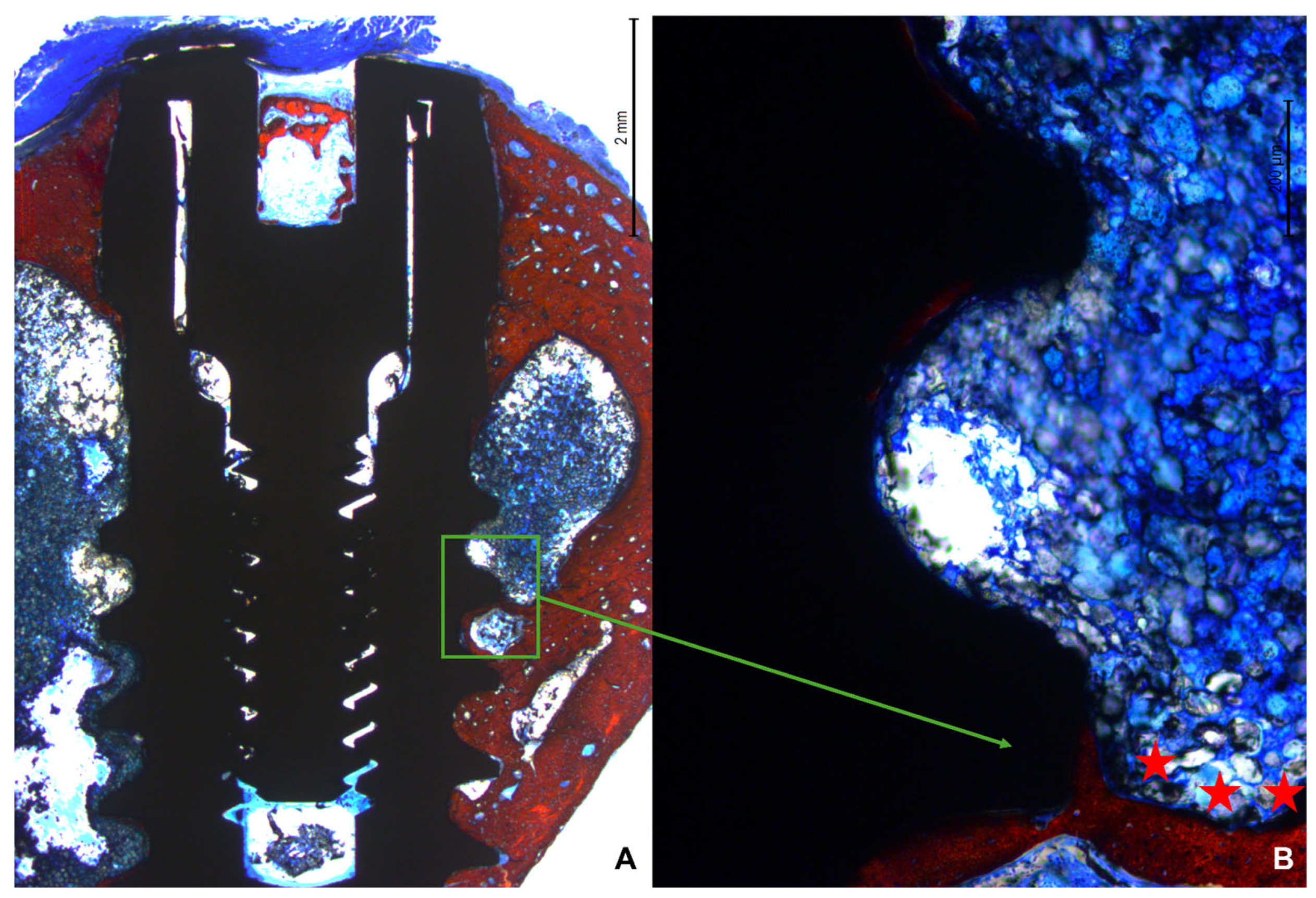 Bioengineering 11 00835 g009