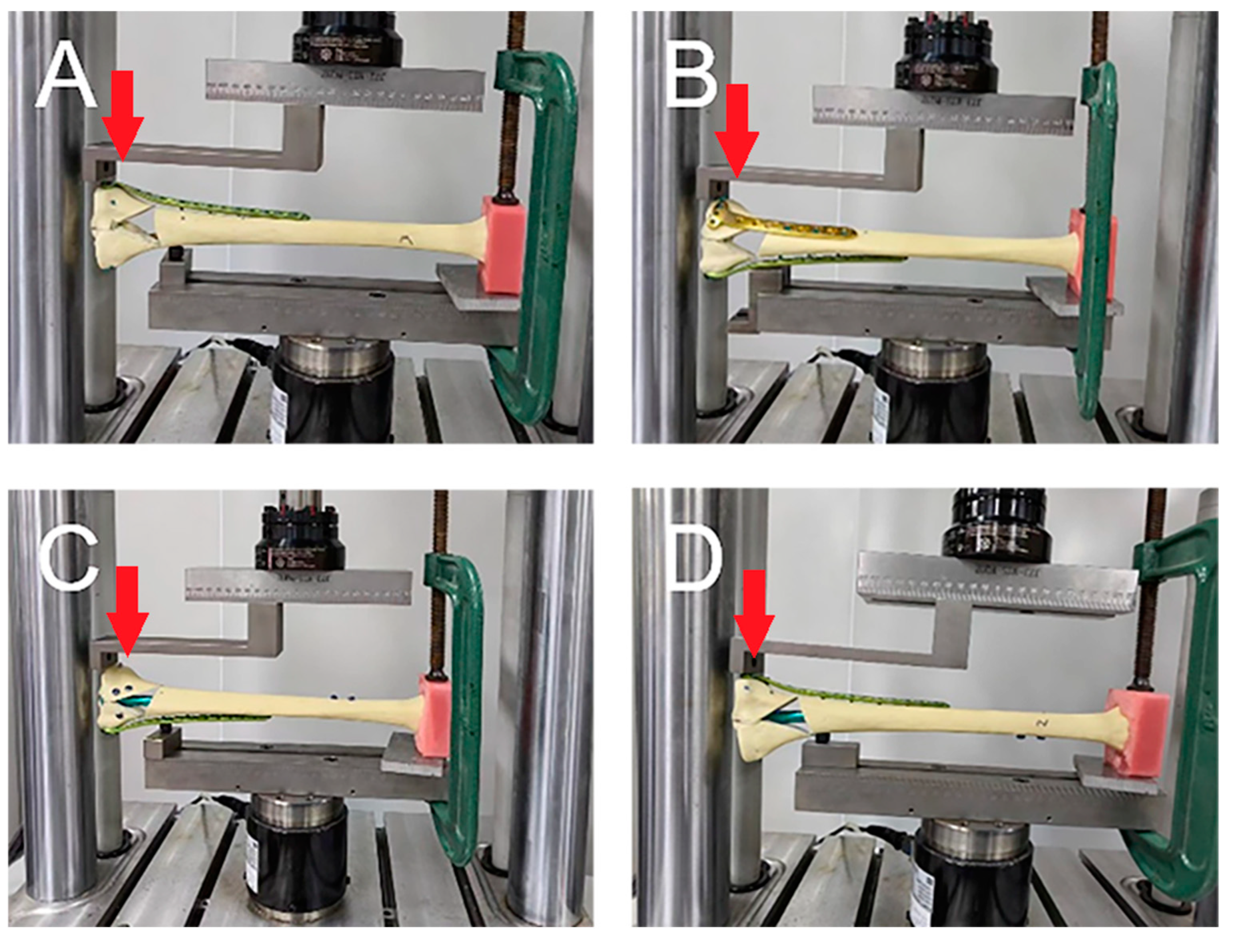 Bioengineering 11 00839 g003