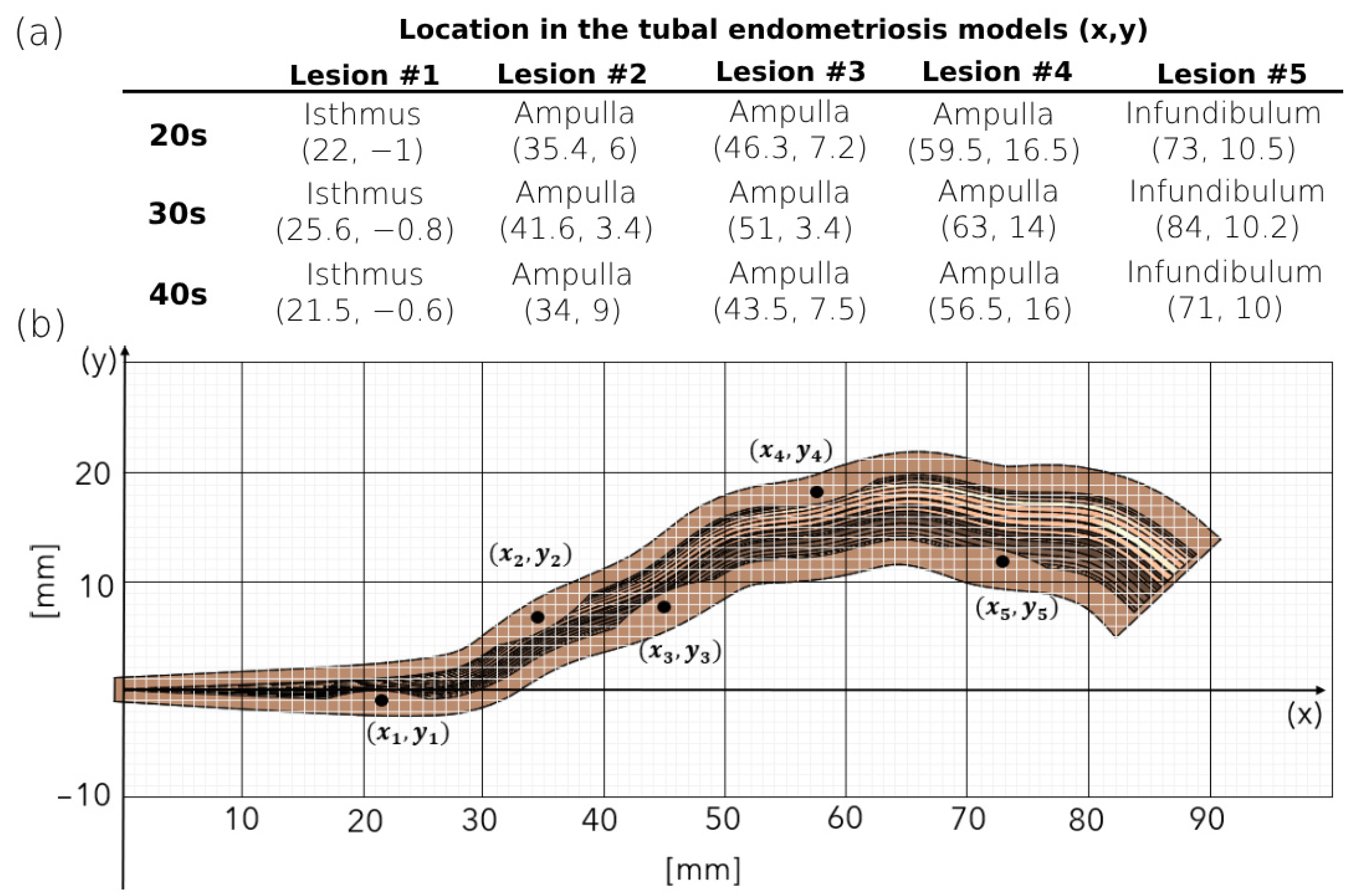 Bioengineering 11 00852 g002