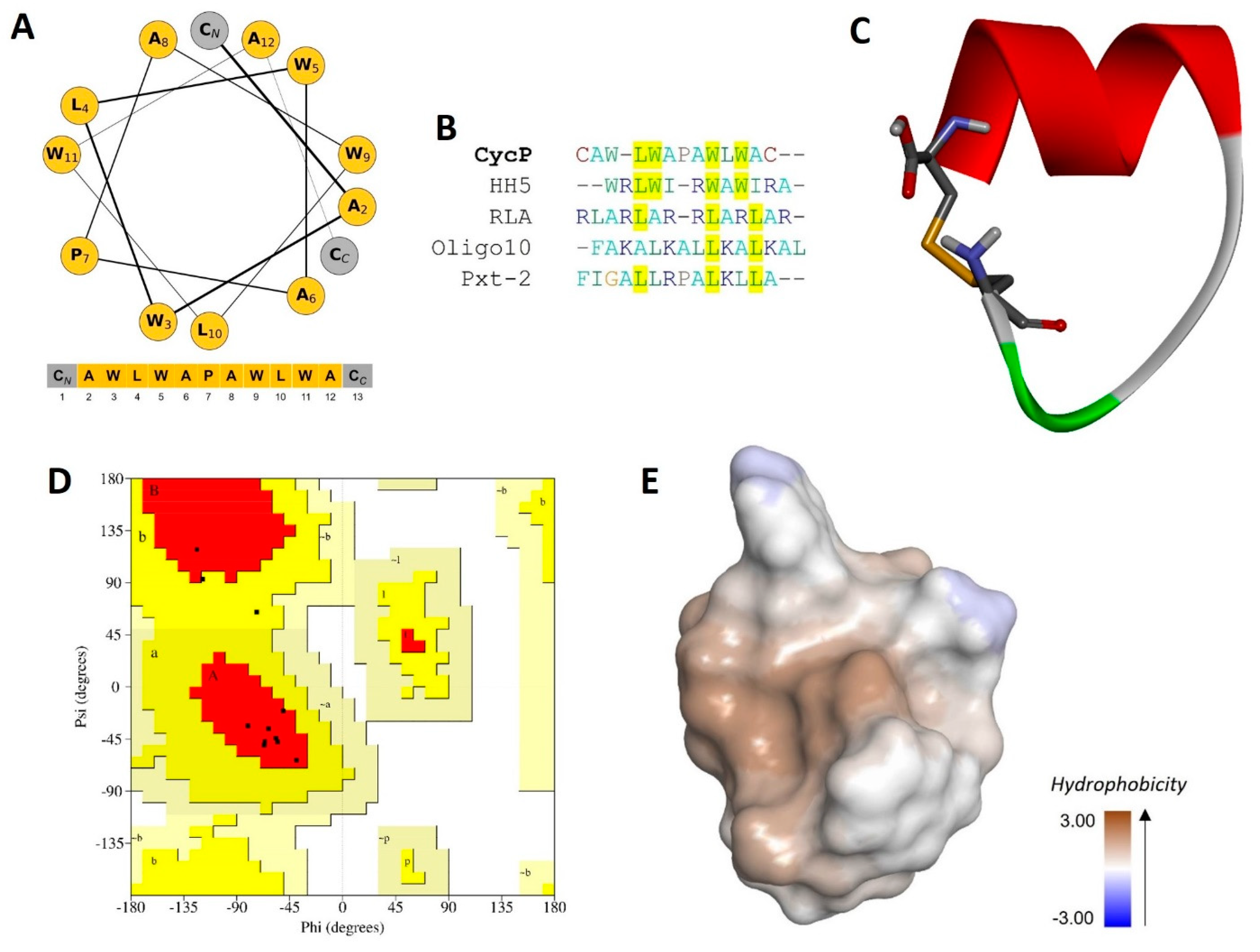 Bioengineering 11 00855 g001