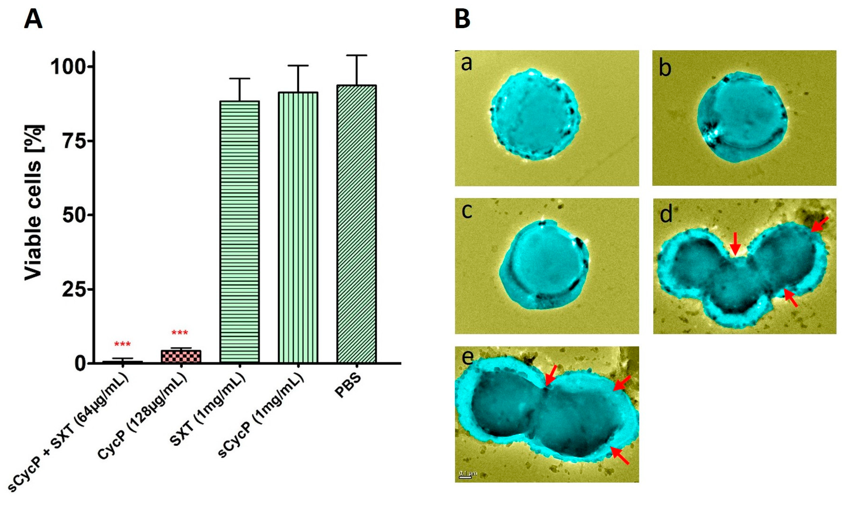 Bioengineering 11 00855 g002