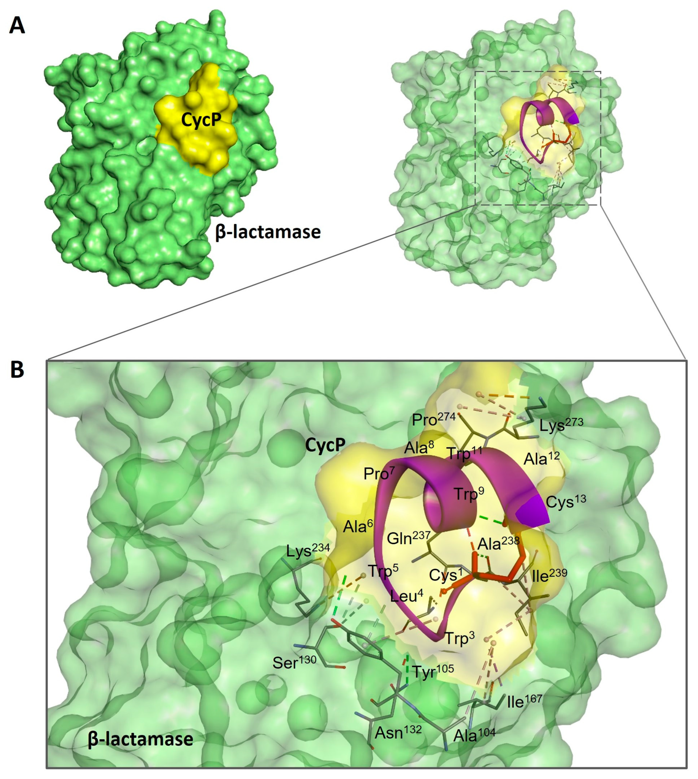 Bioengineering 11 00855 g003