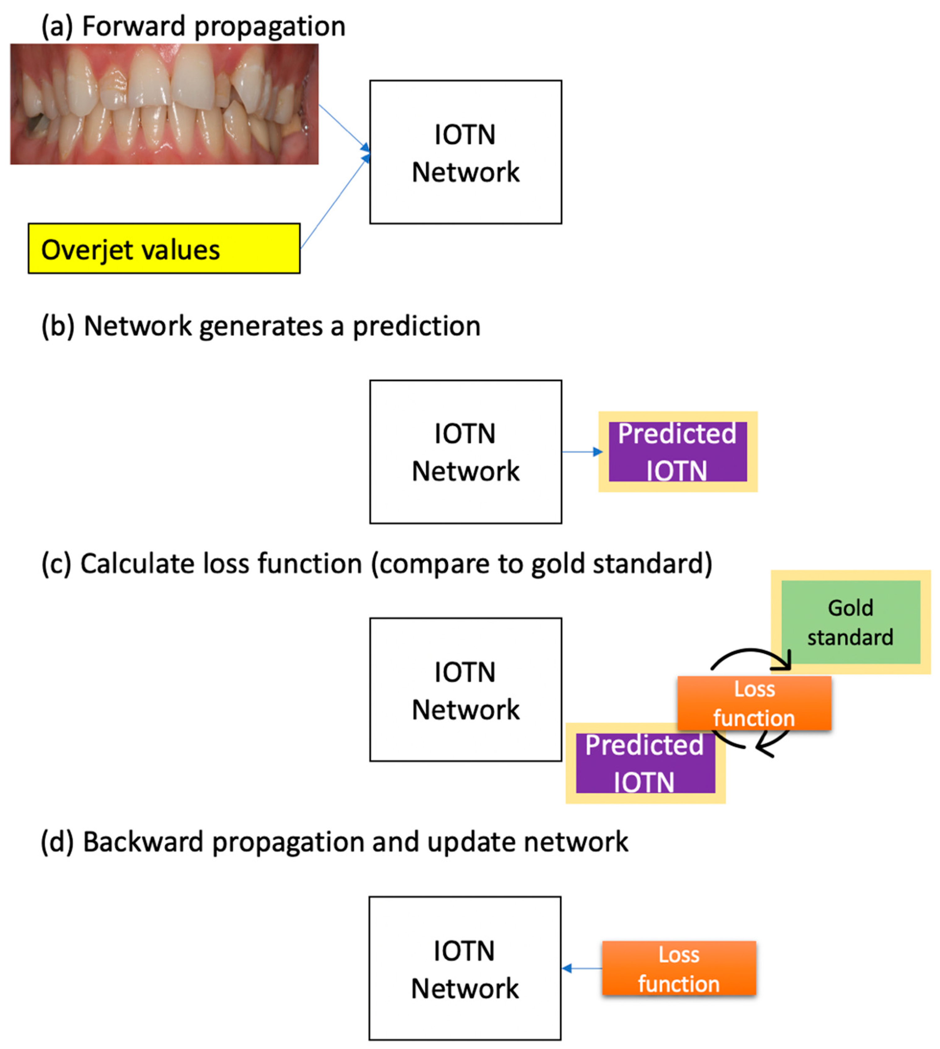 Bioengineering 11 00861 g002